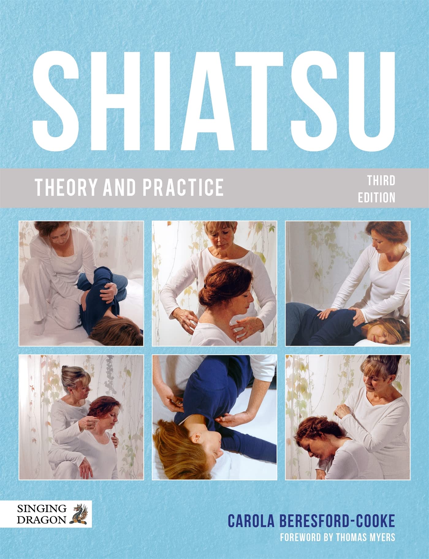 Shiatsu Theory and Practice Medicine