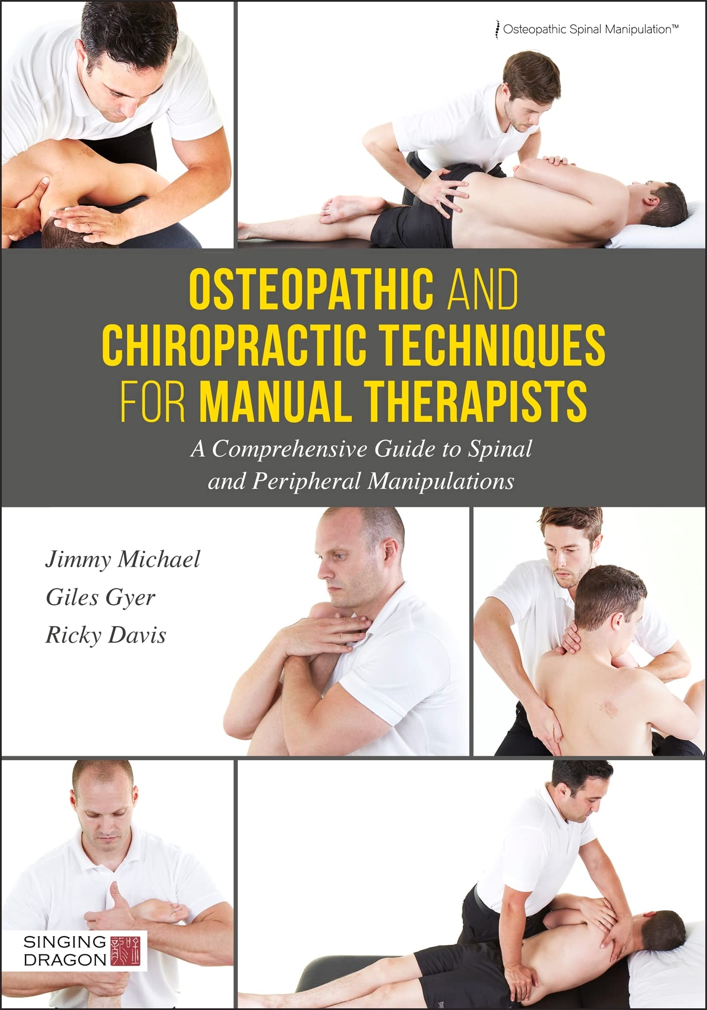 Osteopathic and Chiropractic Techniques for Manual Therapists: A Comprehensive Guide to Spinal and Peripheral Manipulations Medicine