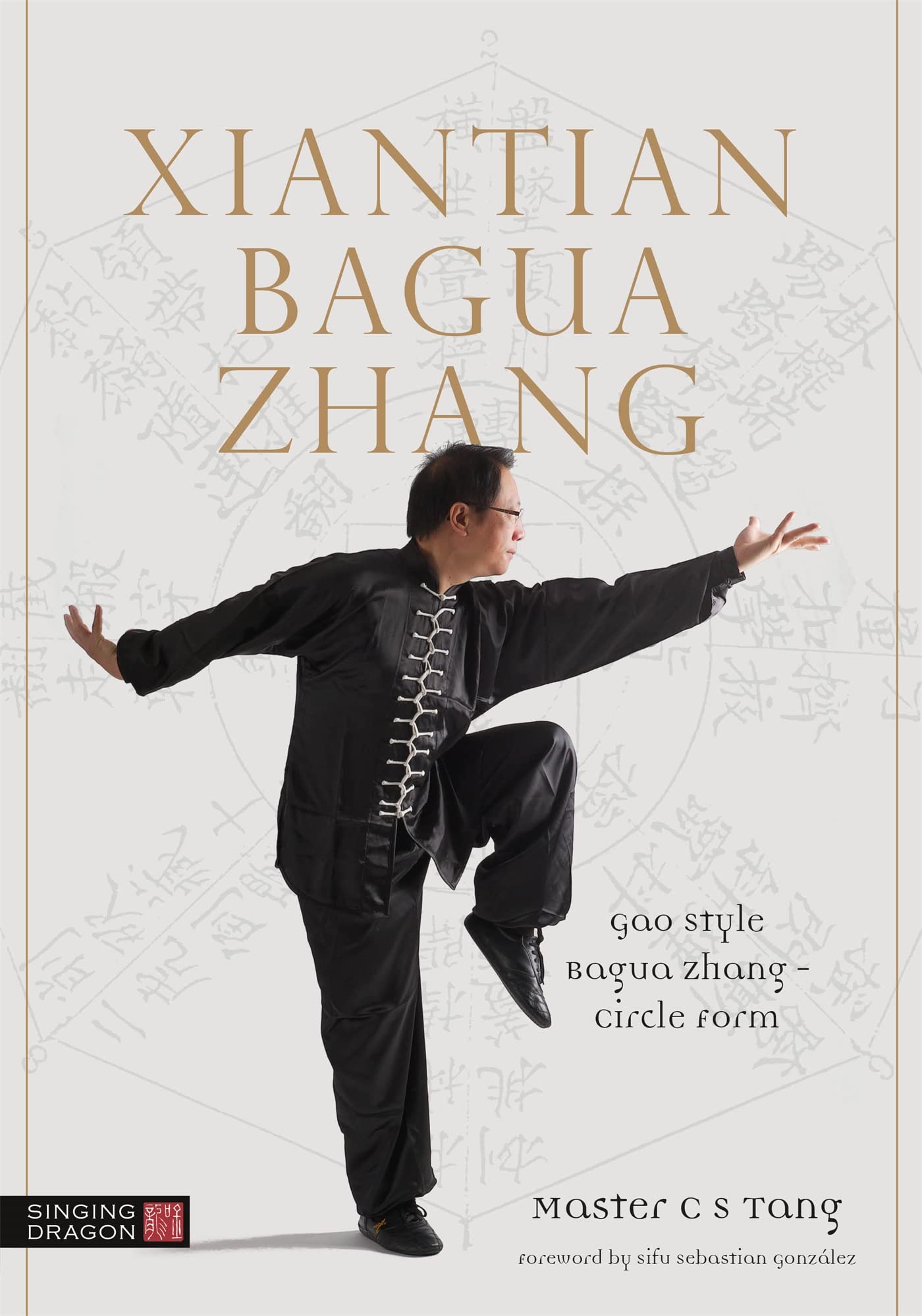 Bagua Zhang: Gao Style Bagua Zhang--circle Form Health, Nutrition & Fitness