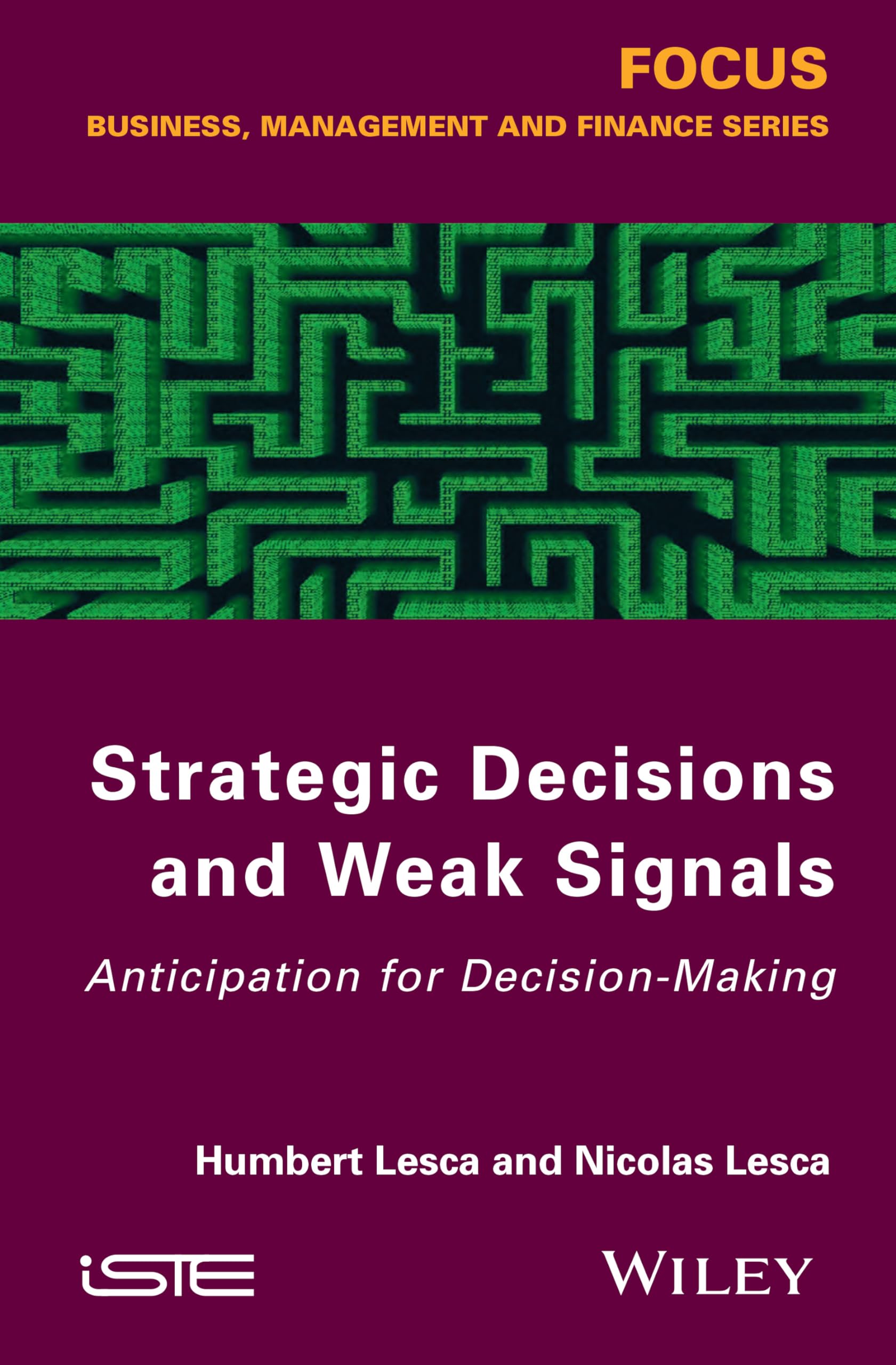 Strategic Decisions and Weak Signals: Anticipation for Decision-Making (Focus: Business, Management and Finance) Business, Finance & Career
