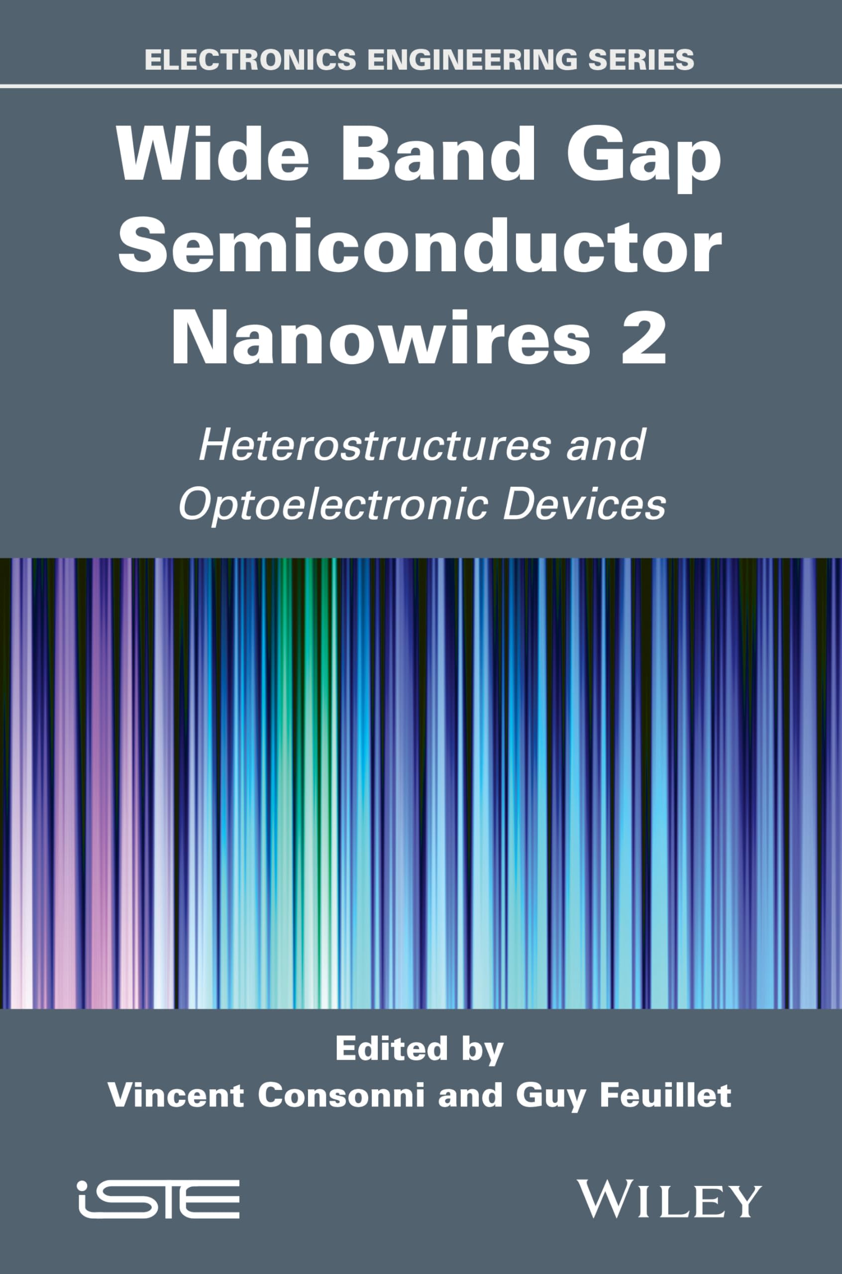 Wide Band Gap Semiconductor Nanowires 2: Heterostructures and Optoelectronic Devices (Electronics Engineering) Business & Technology