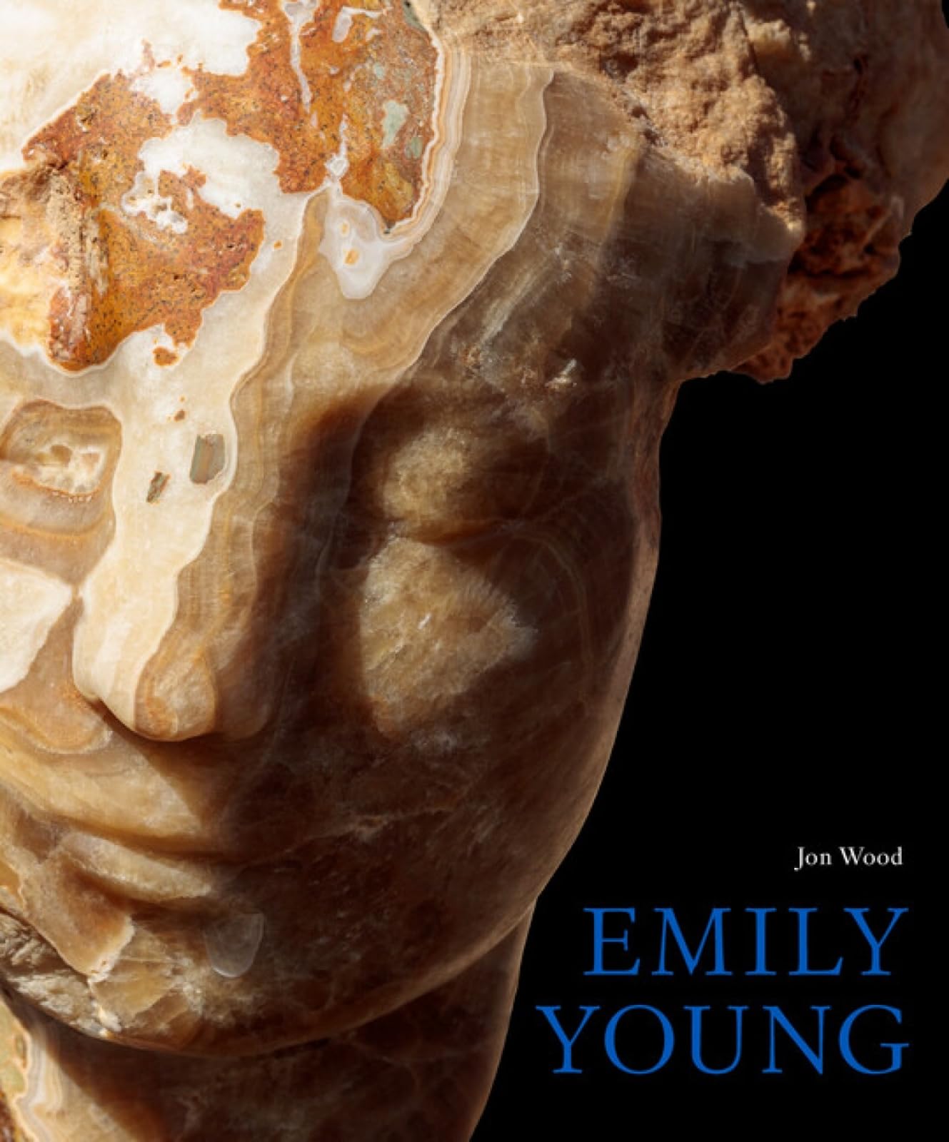 Emily Young: Stone Carvings and Paintings Film, Art & Culture
