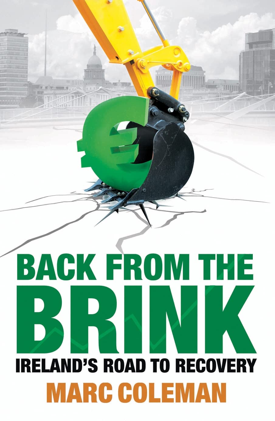 Back From The Brink: Ireland's Road to Recovery Business, Finance & Career