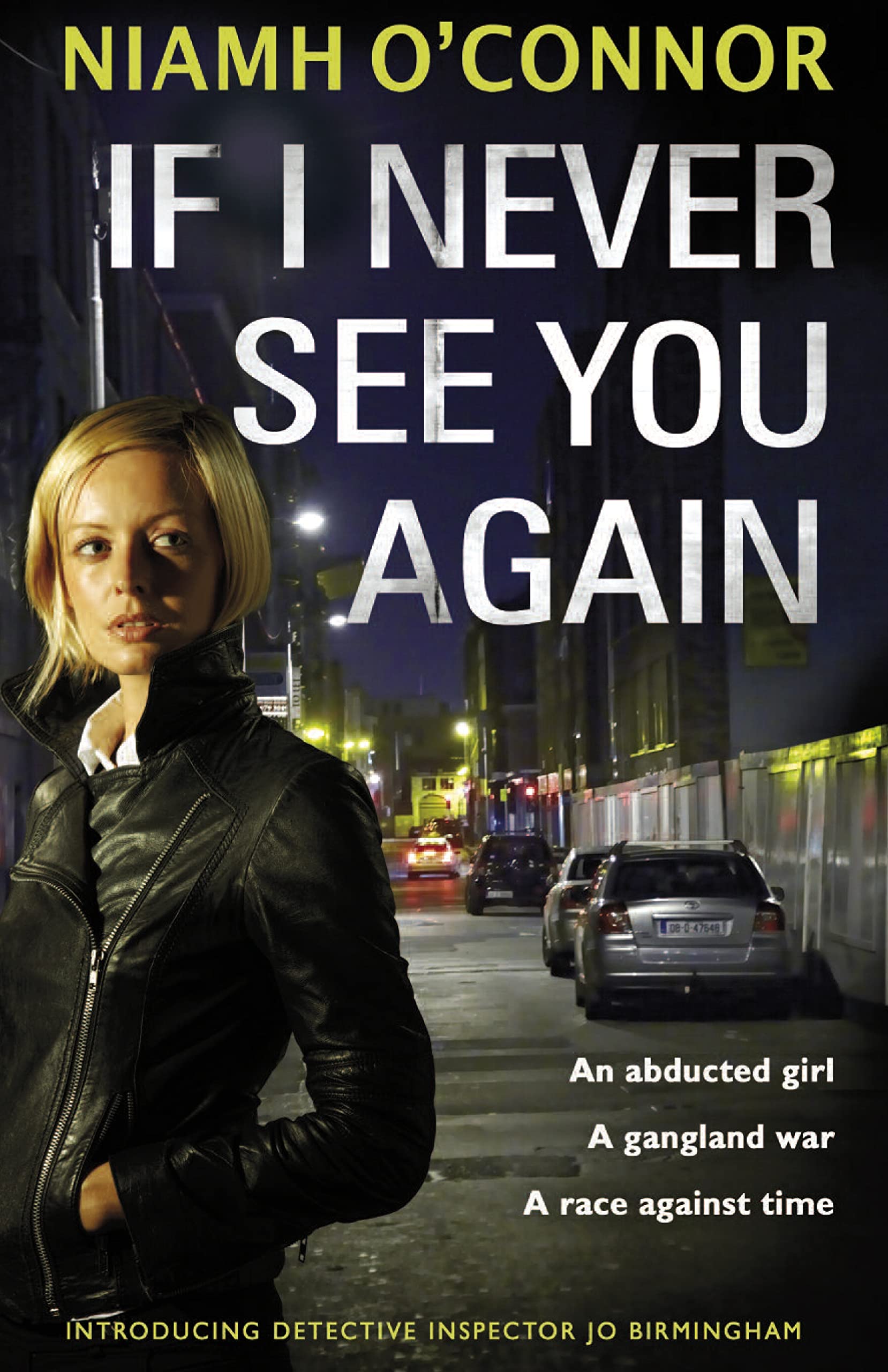 If I Never See You Again: Ireland Contemporary literature