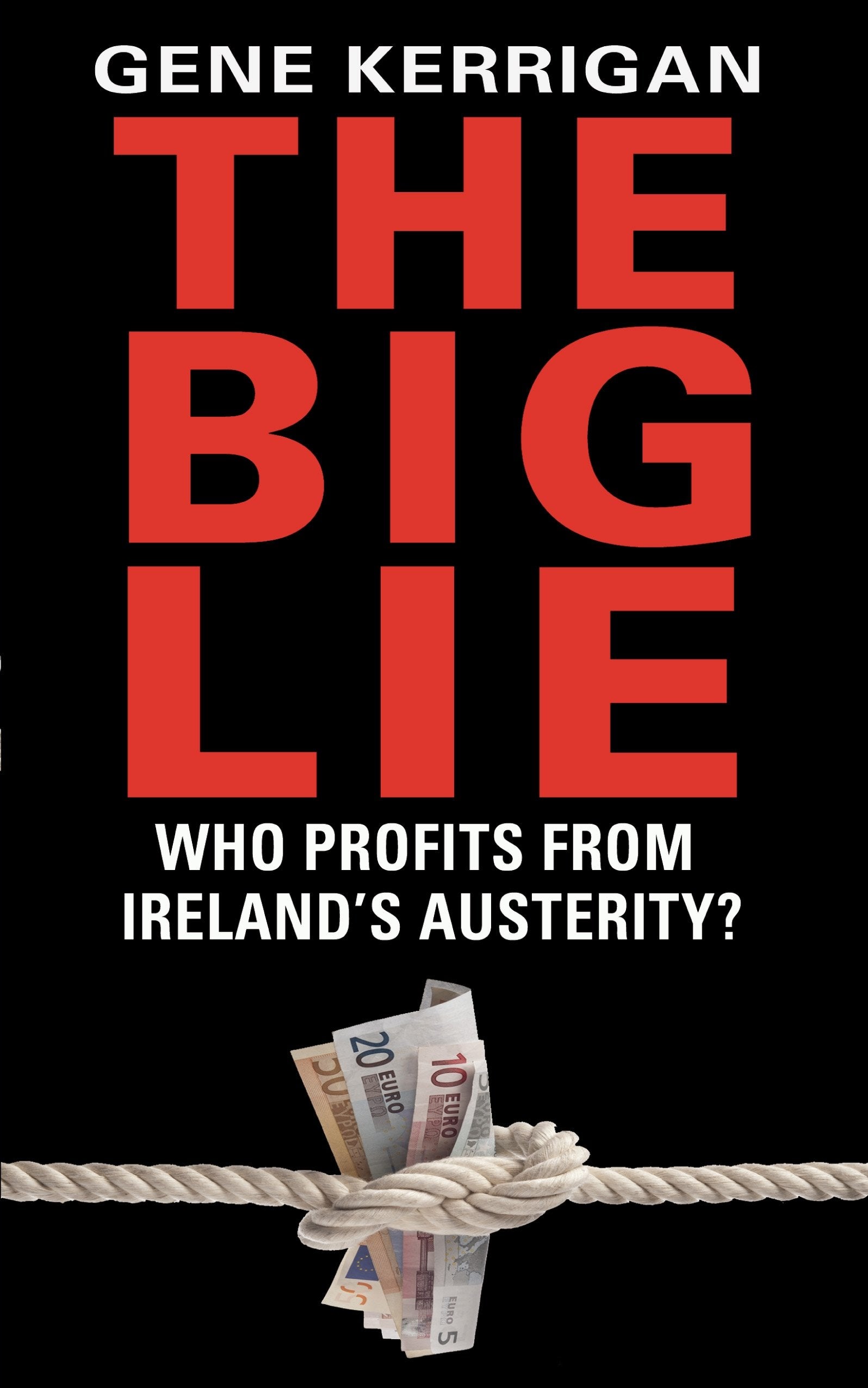 The Big Lie - Who Profits From Ireland’s Austerity? Business, Finance & Career