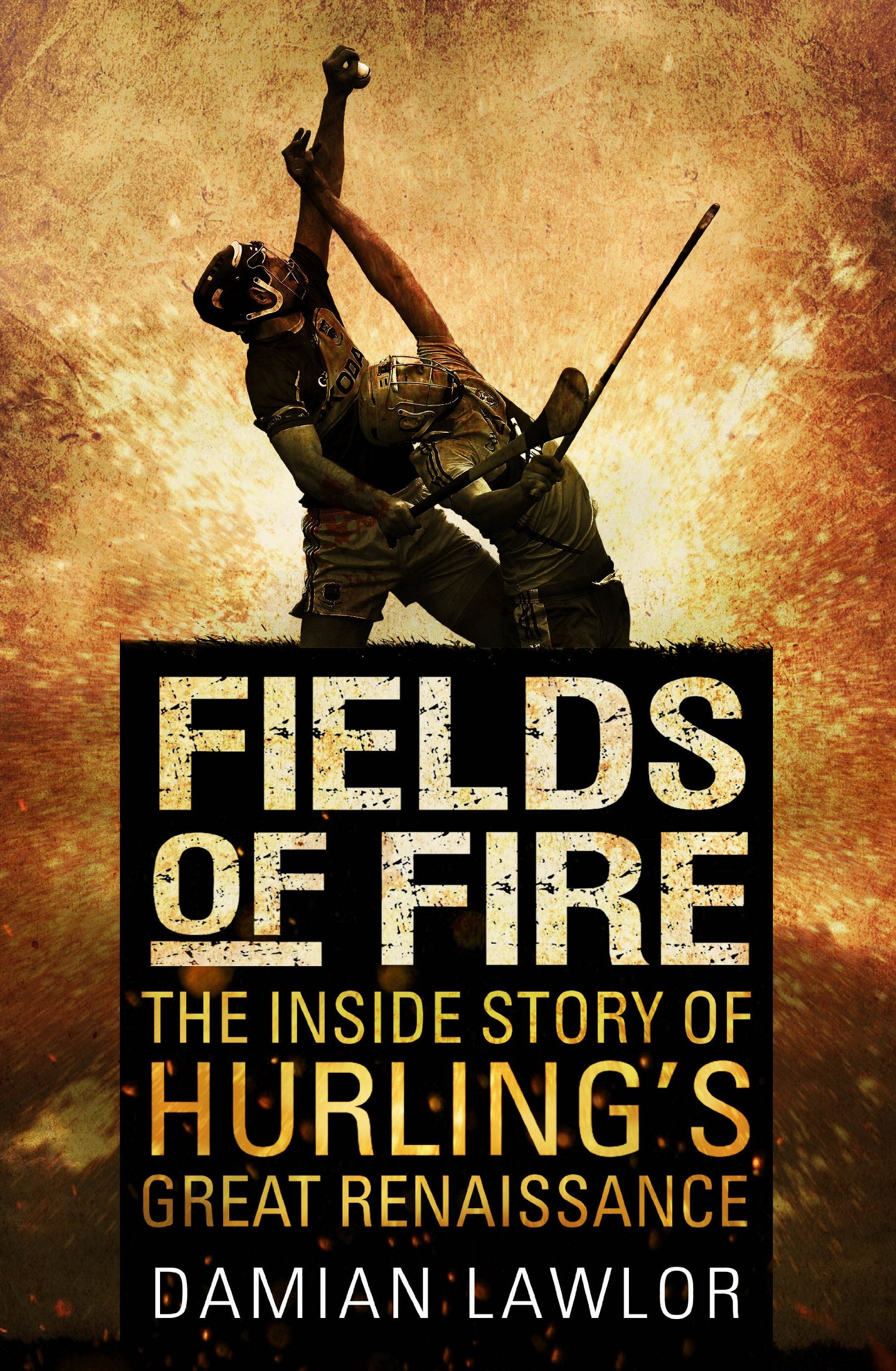 Fields of Fire: The Inside Story of Hurling's Great Renaissance book