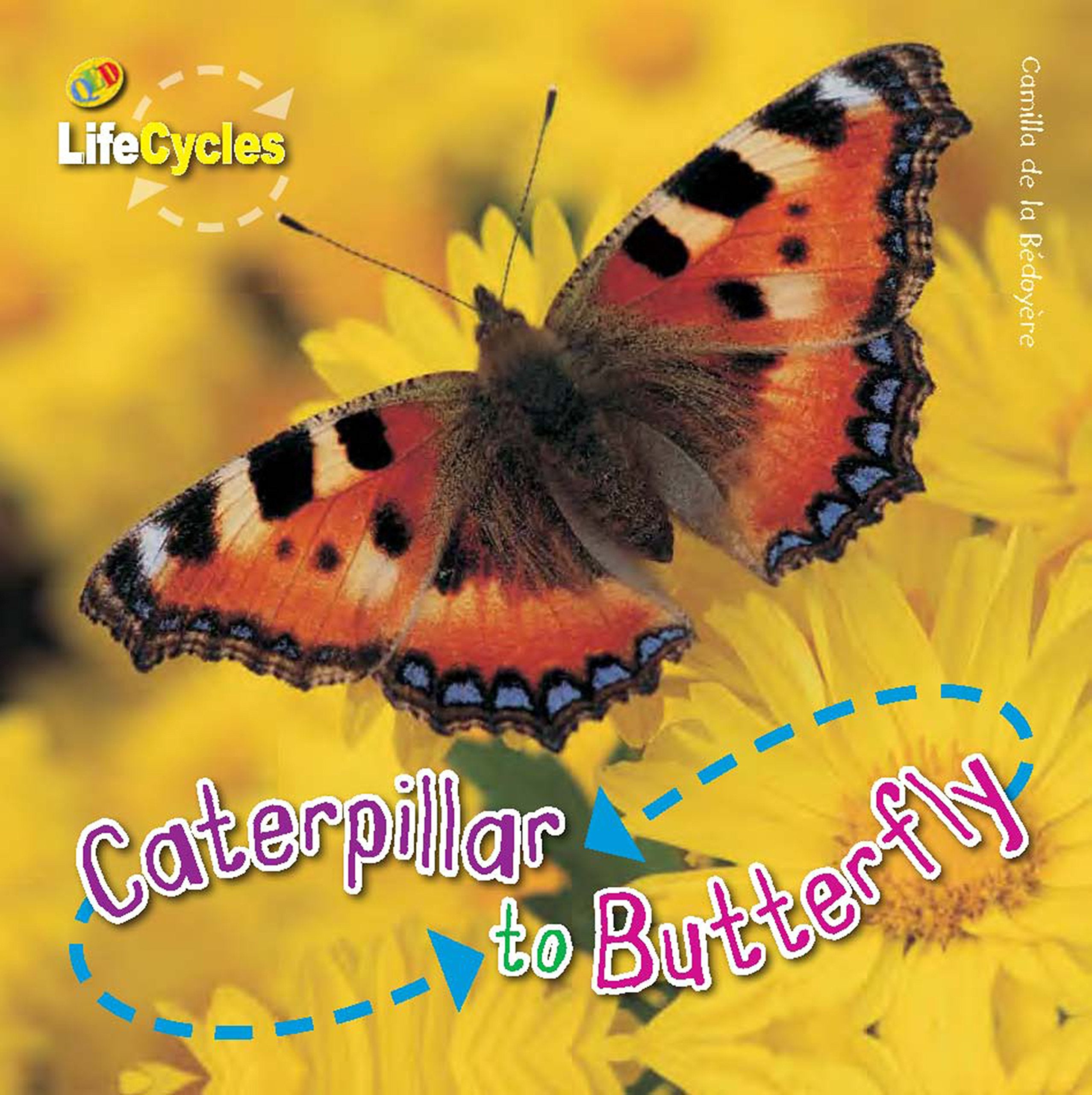 De la Bedoyere, C: Caterpillar to Butterfly Non-fiction