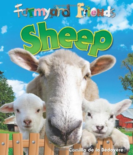 Sheep (Farmyard Friends) Non-fiction