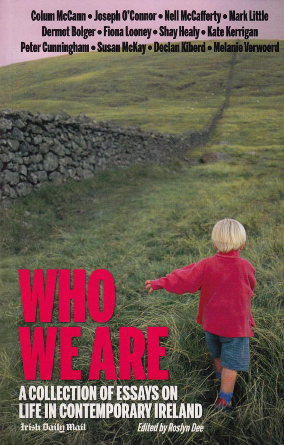 Who We Are: A Collection of Essays on Life in Contemporary Ireland book