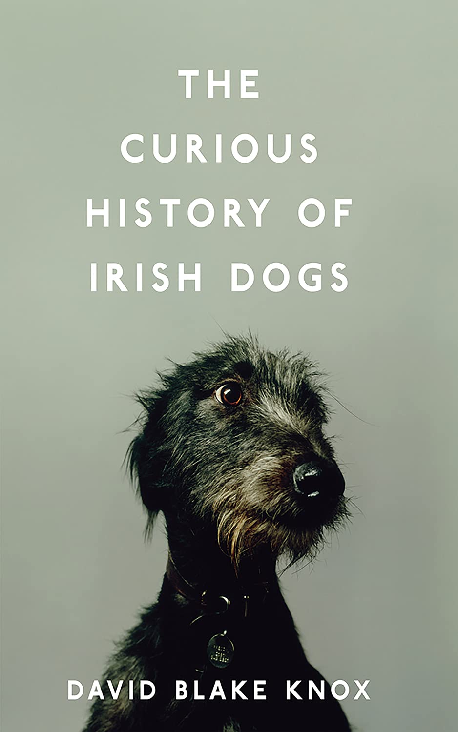 The Curious History of Irish Dogs Mathematics