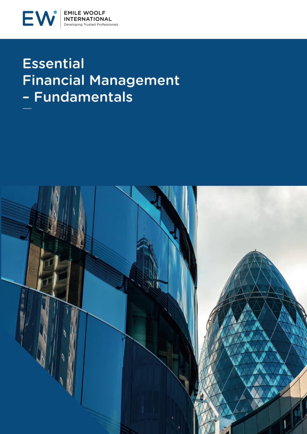 Essential Financial Management – Fundamentals (Essentials 2025-26, Band 19) Business, Finance & Career