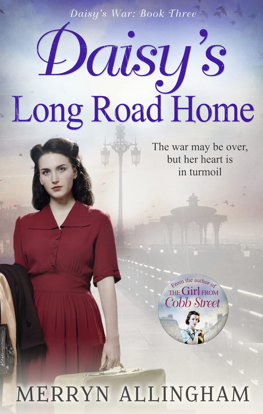 Product Image: Daisy's Long Road Home