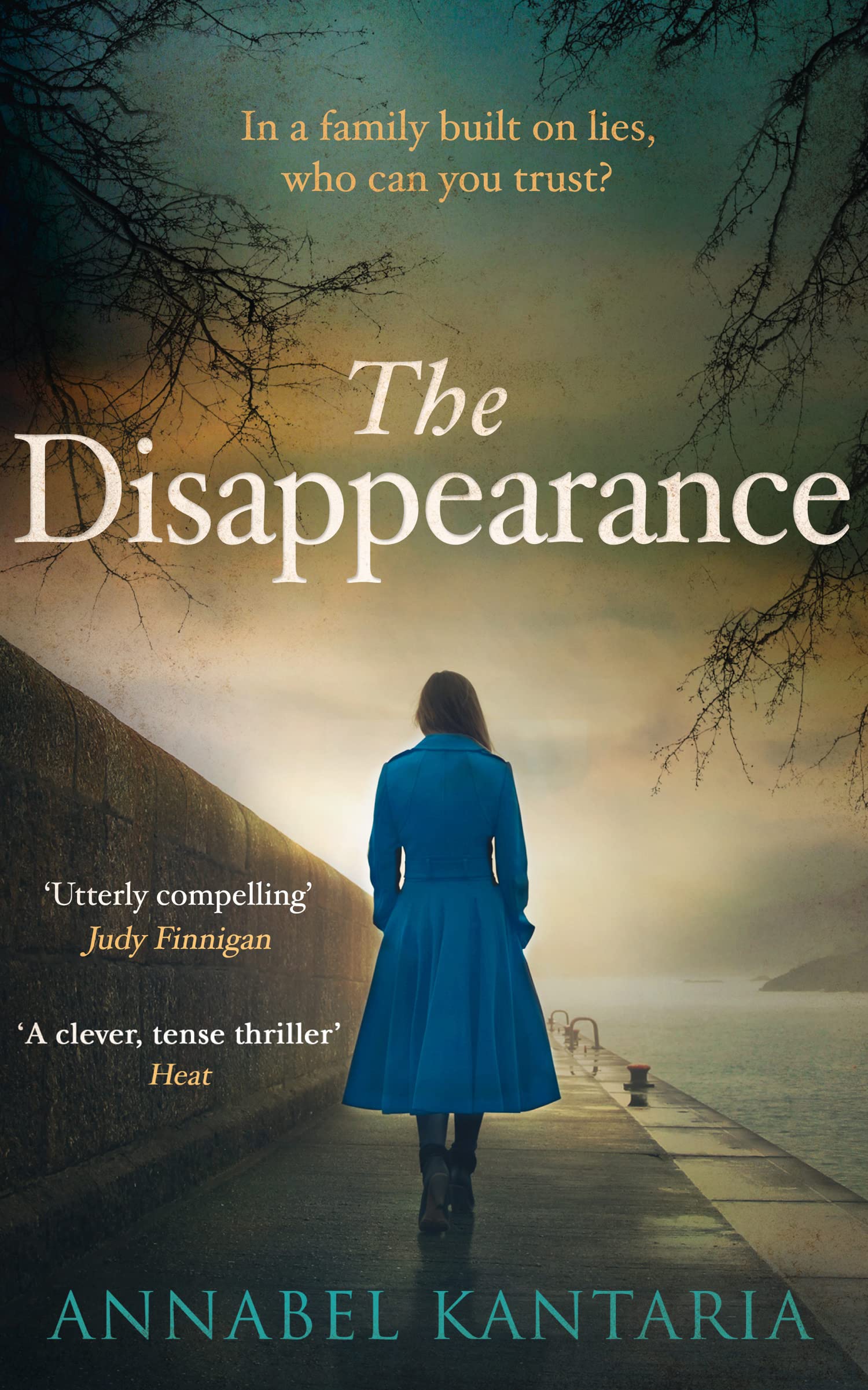 The Disappearance: A Gripping Thriller That Will Keep You Guessing Contemporary literature