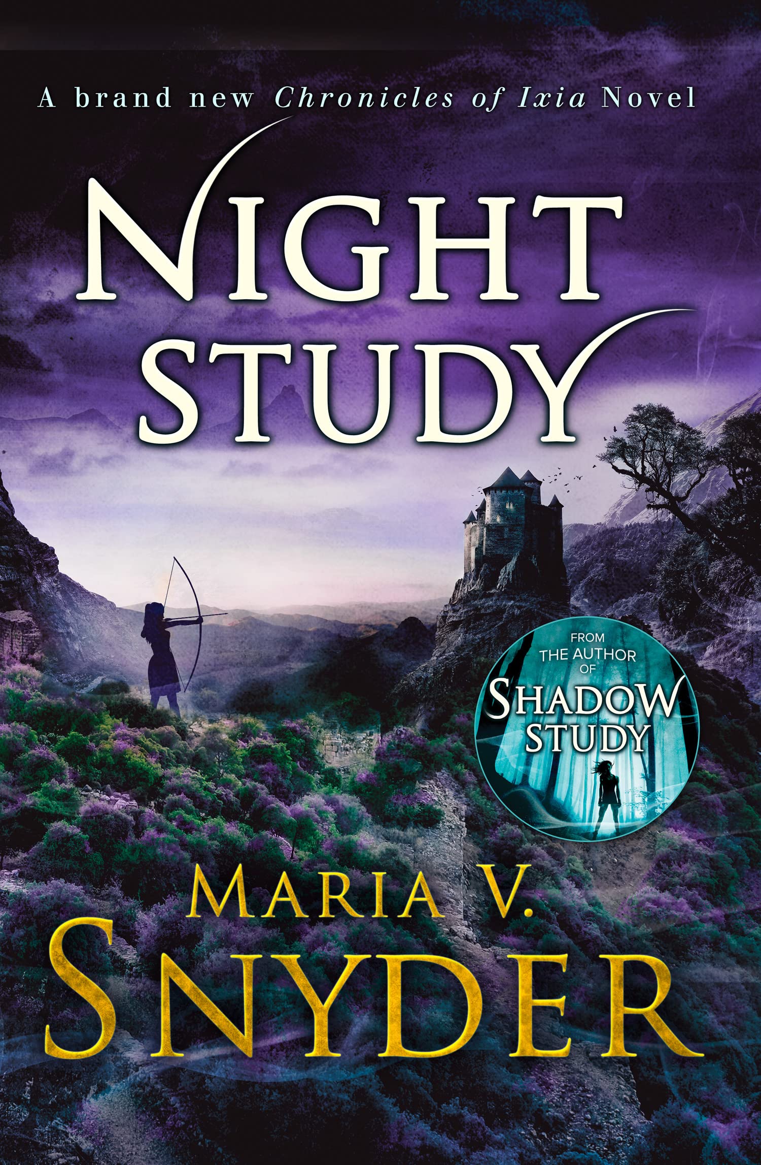 Night Study Action & Adventure