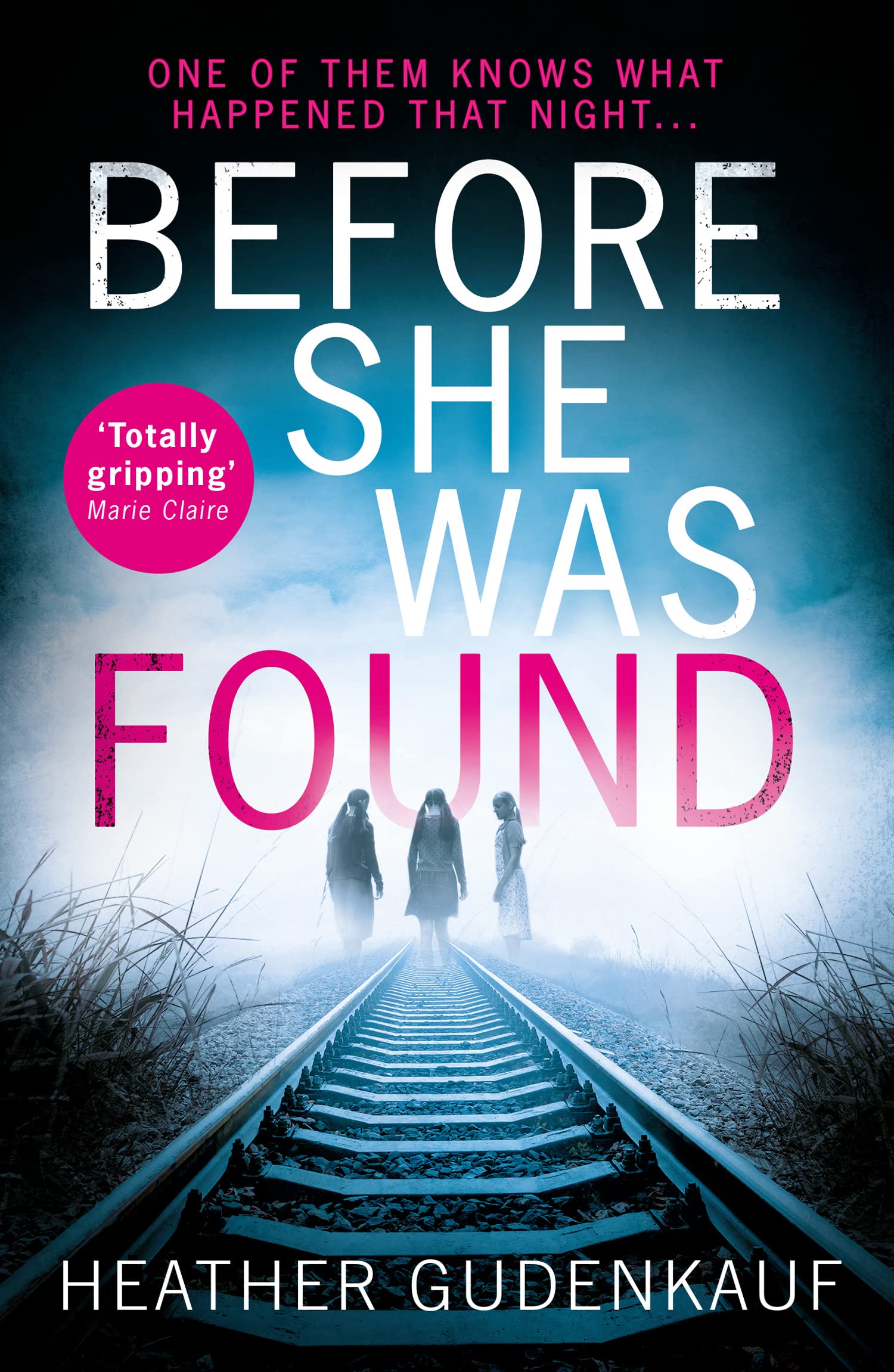 Before She Was Found Contemporary literature Books