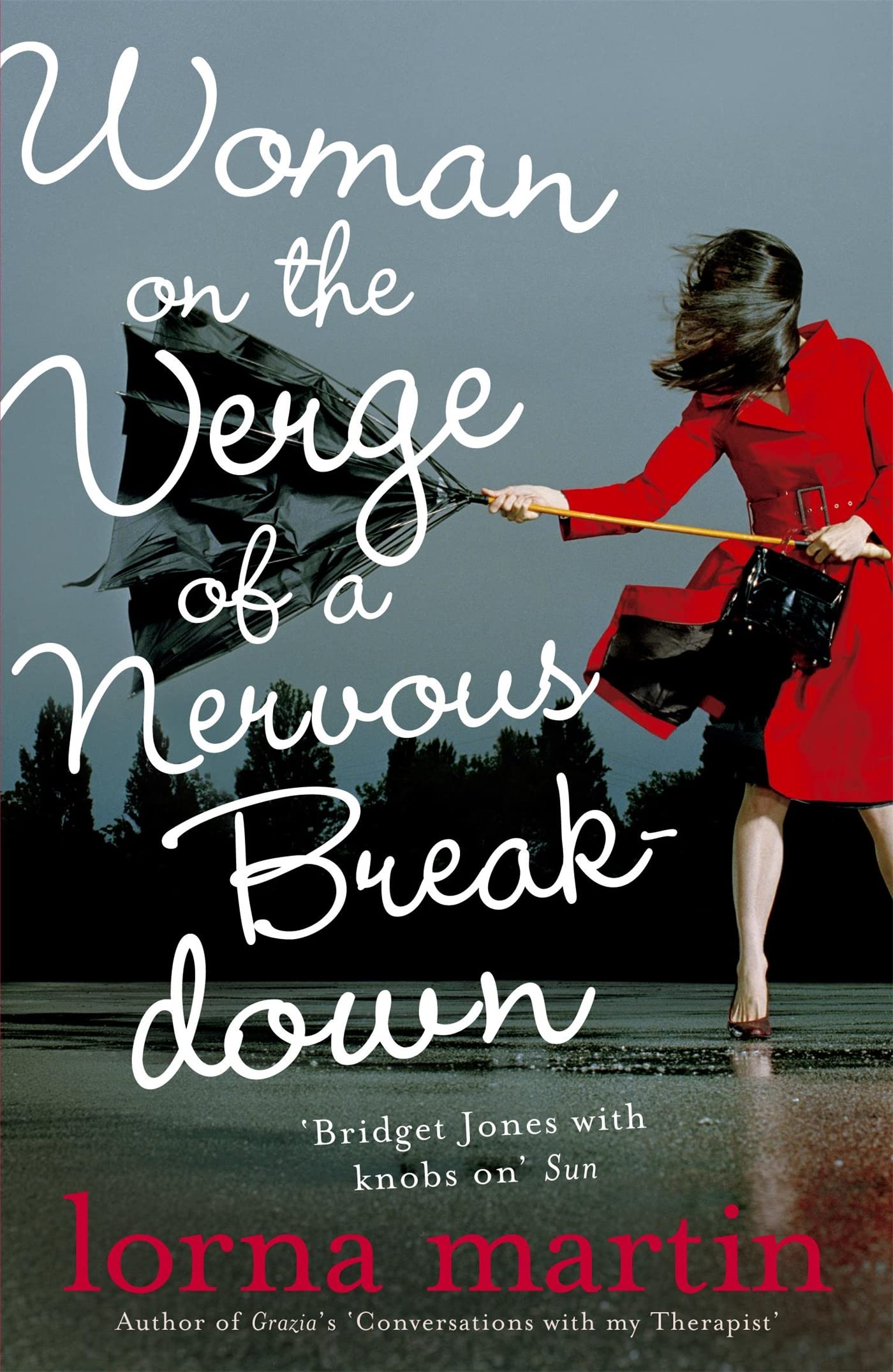 Woman On The Verge Of A Nervous Breakdown book