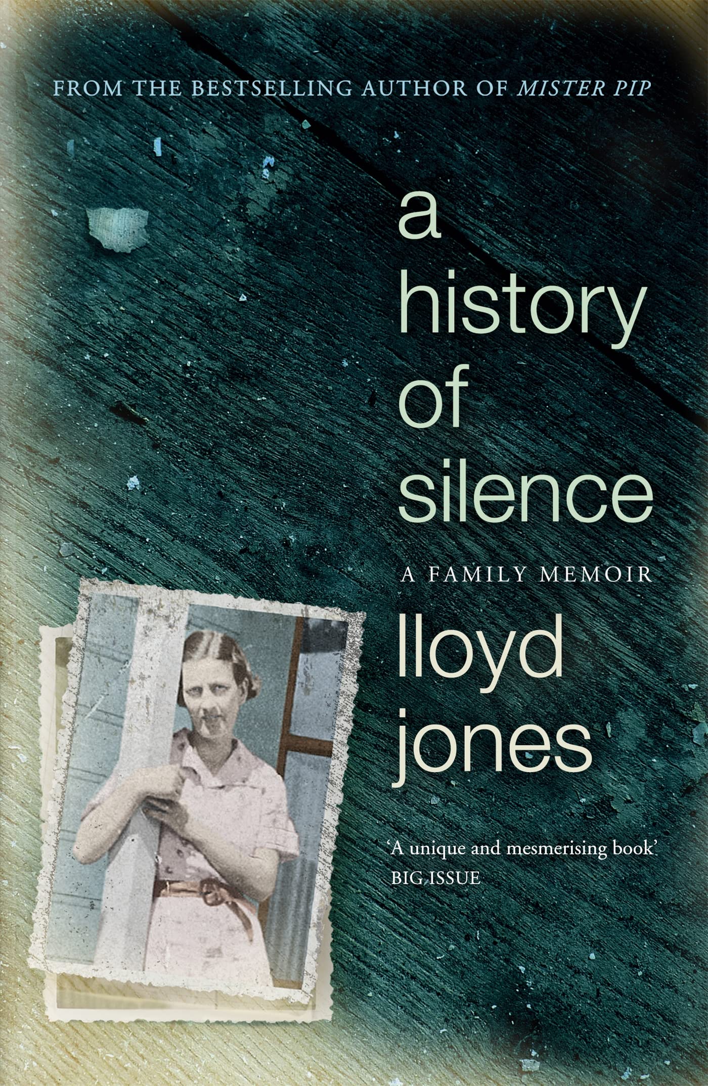 A History of Silence: A Family Memoir Art & Literature