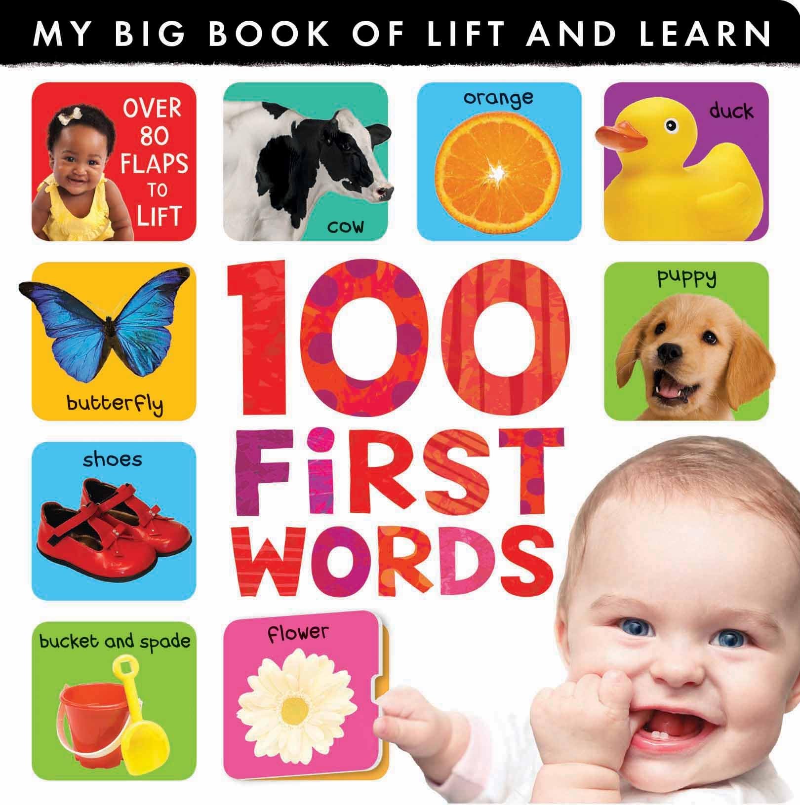My Big Book of Lift and Learn: 100 First Words Tiptoi & Games