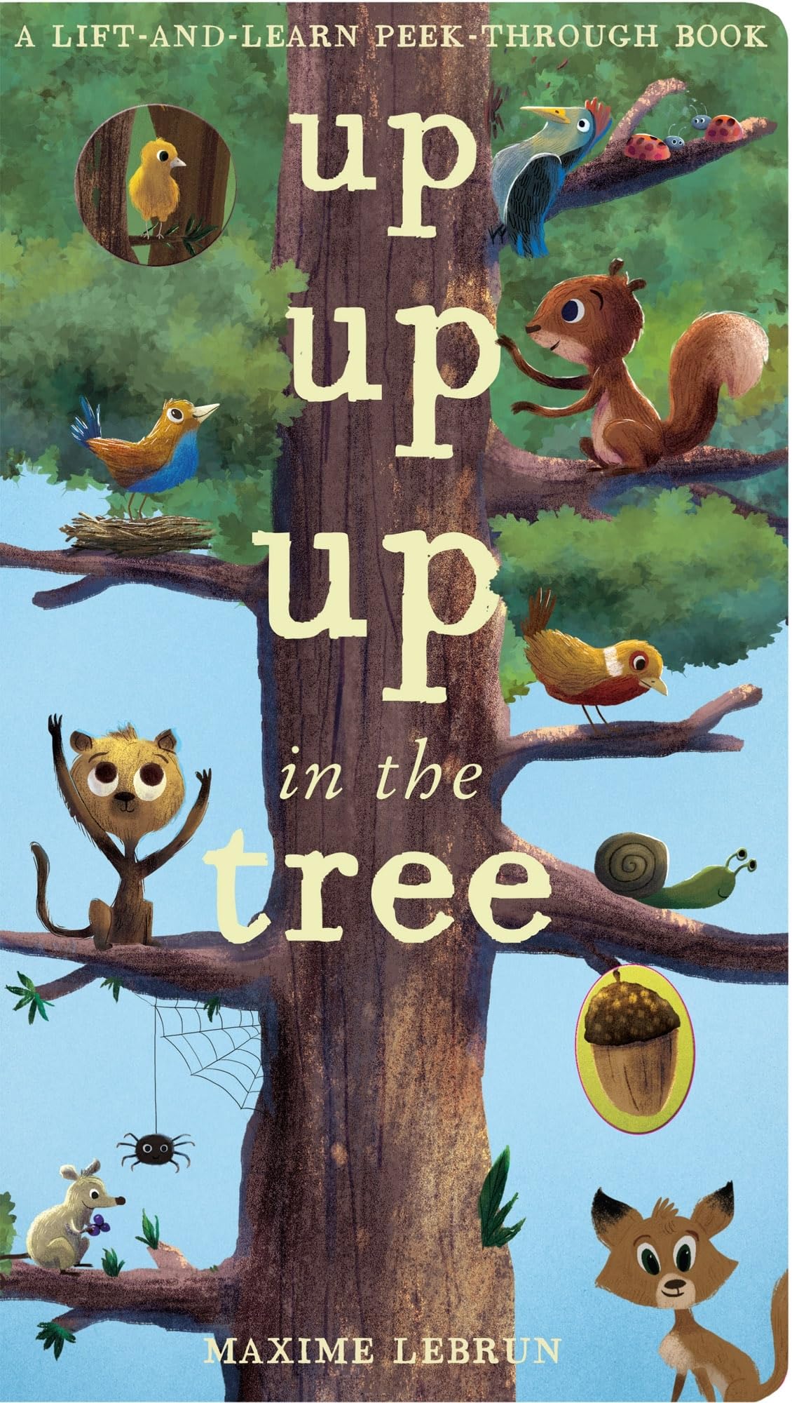 Up Up Up in the Tree Tiptoi & Games