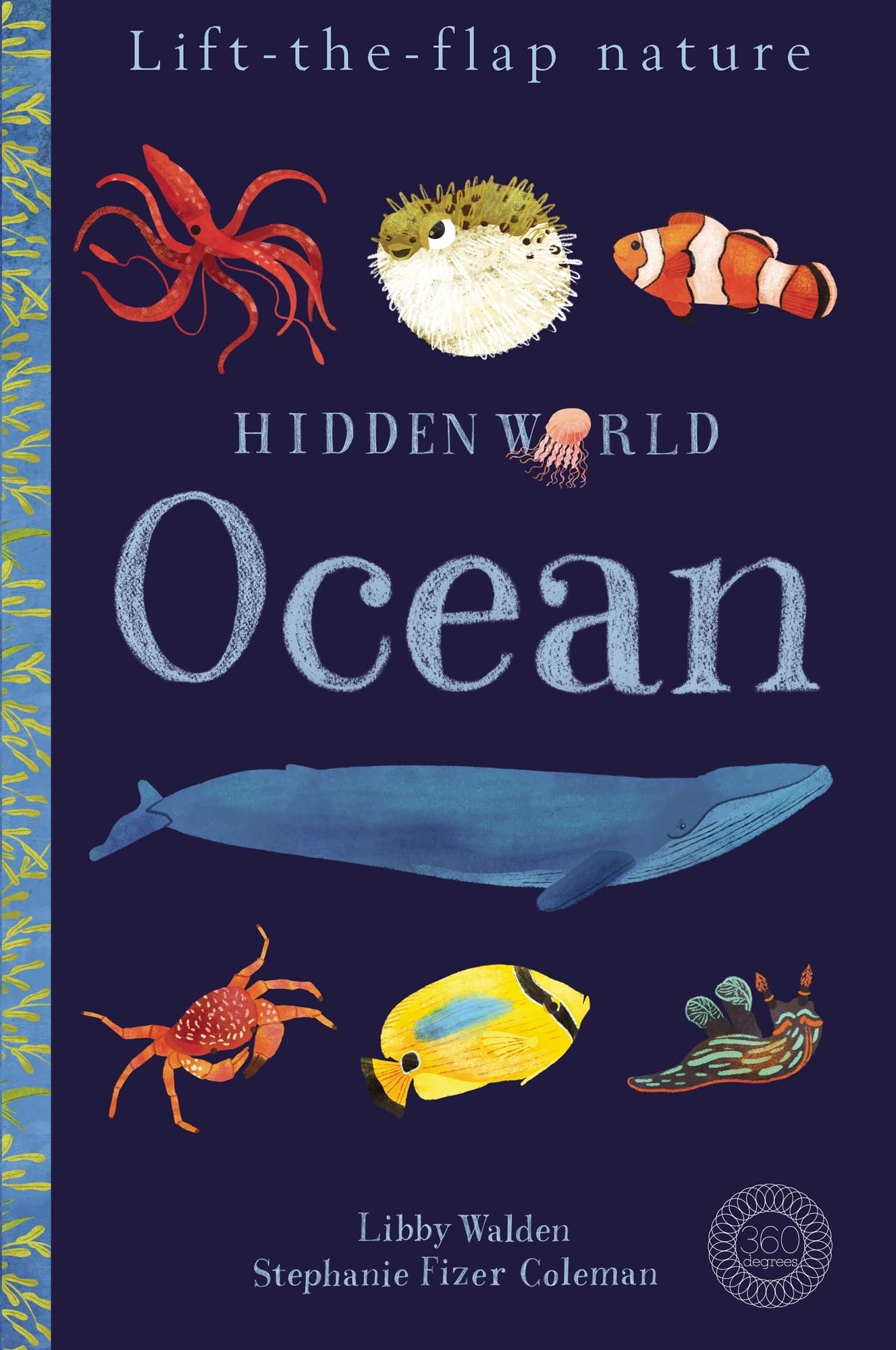 Hidden World: Ocean (Lift the Flap Nature) Natural Sciences