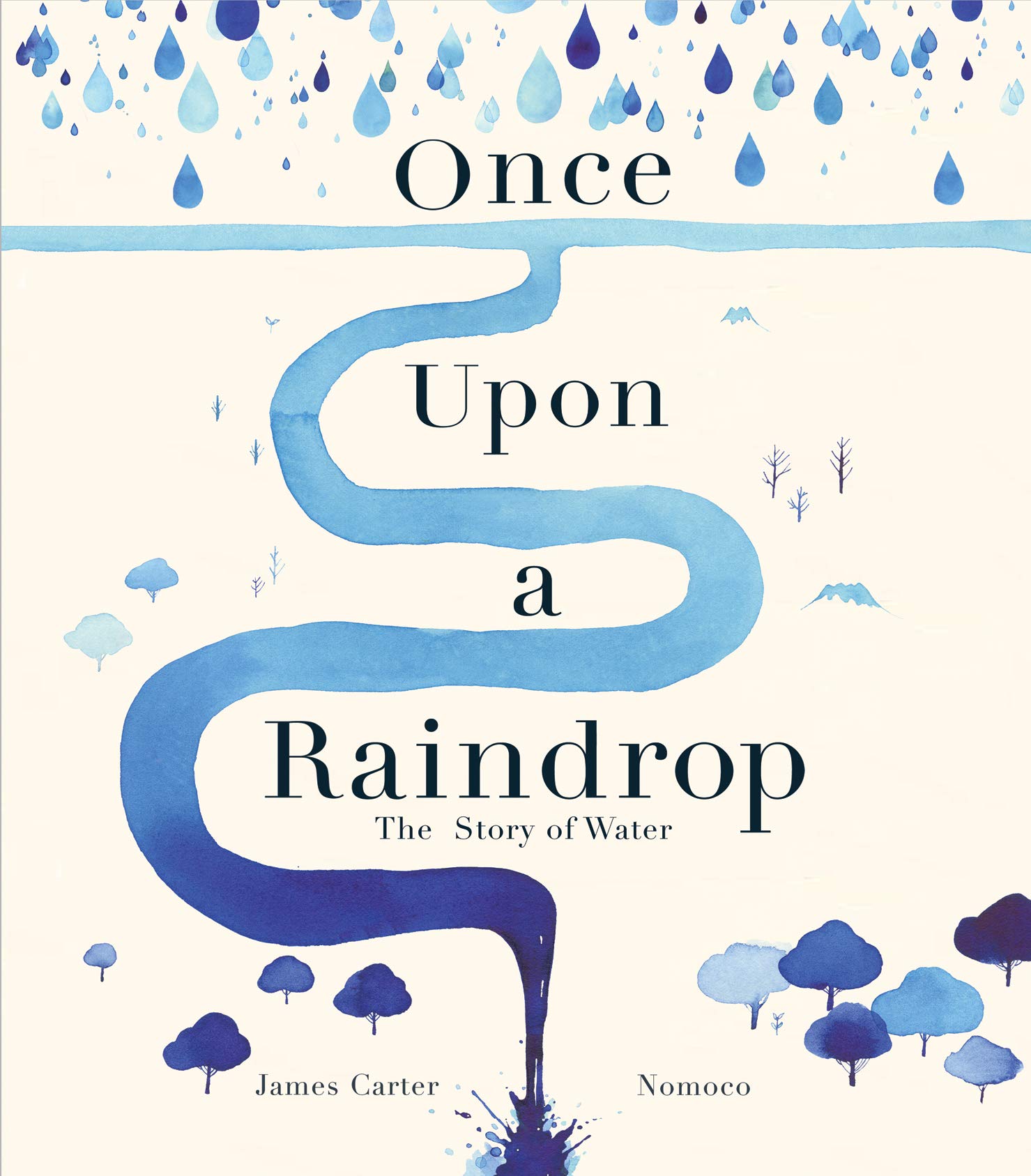 Once Upon a Raindrop: The Story of Water Non-fiction