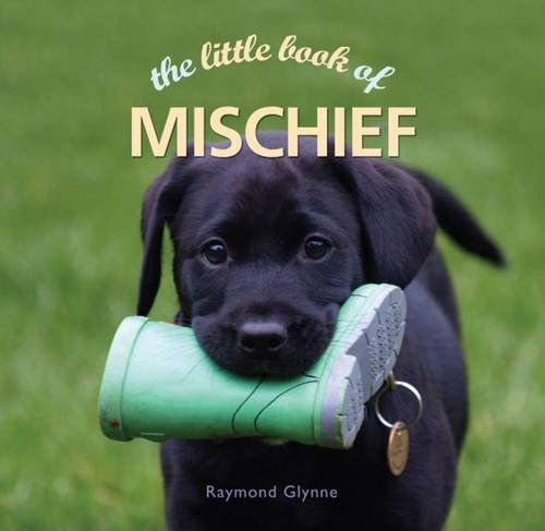 The Little Book of Mischief Books