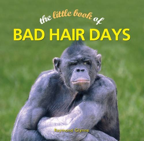 The Little Book of Bad Hair Days Lifestyle