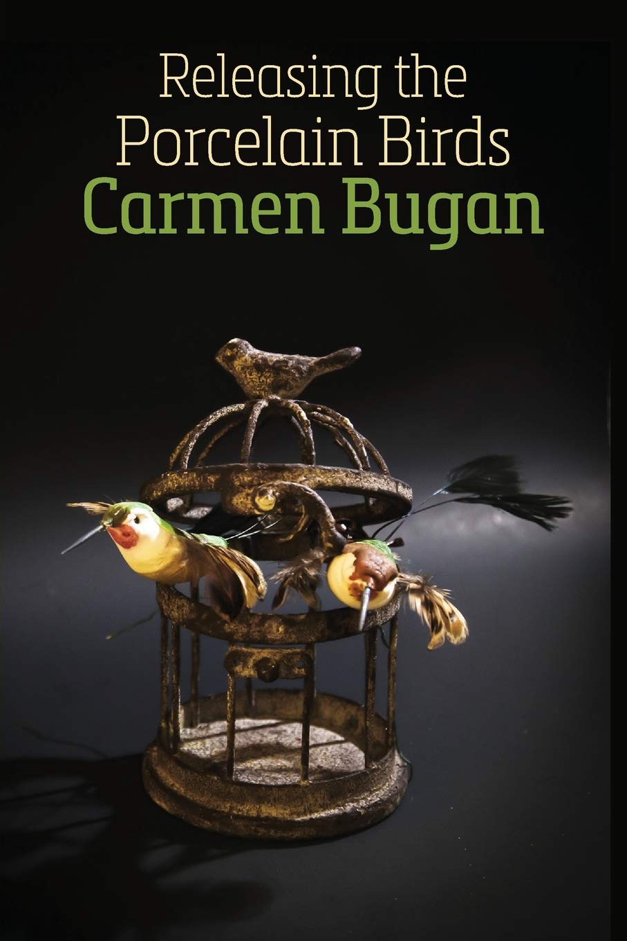 Releasing the Porcelain Birds: Poems after Surveillance Poetry