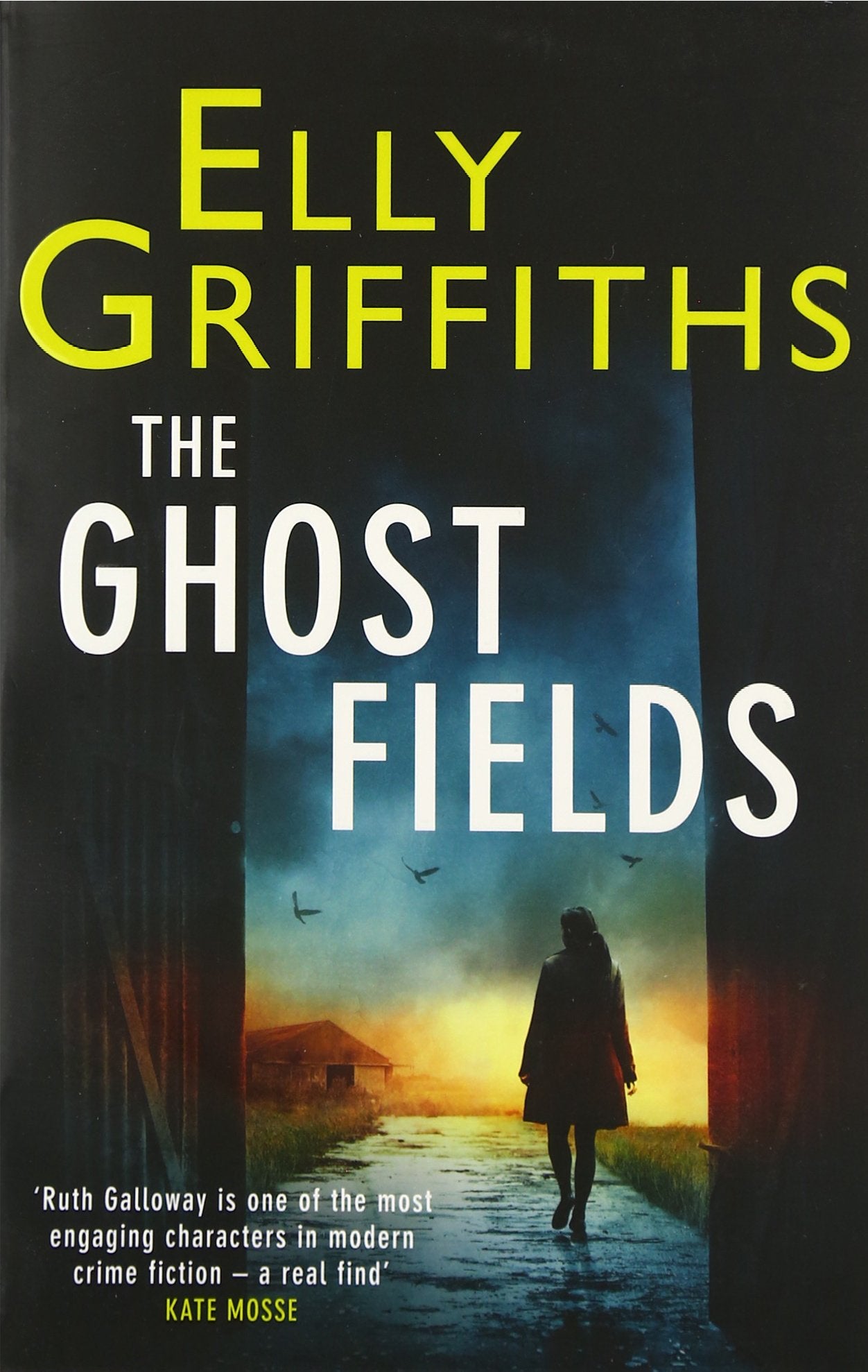 The Ghost Fields: A Ruth Galloway Investigation (The Dr Ruth Galloway Mysteries) Social Sciences