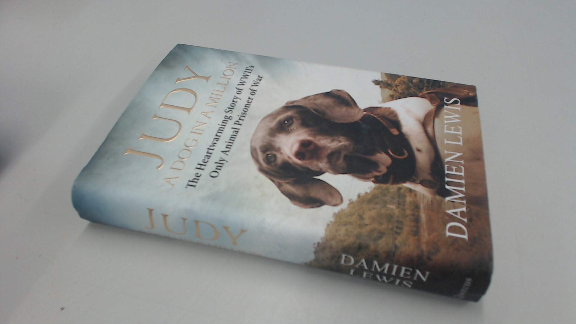 Judy: A Dog in a Million: The Heartwarming Story of WWII's Only Animal Prisoner of War Sports Books
