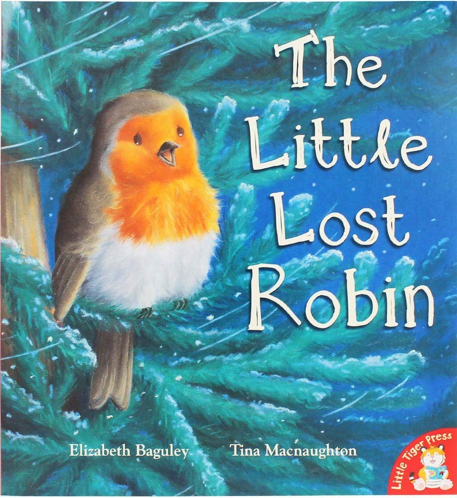 The Little Lost Robin Books