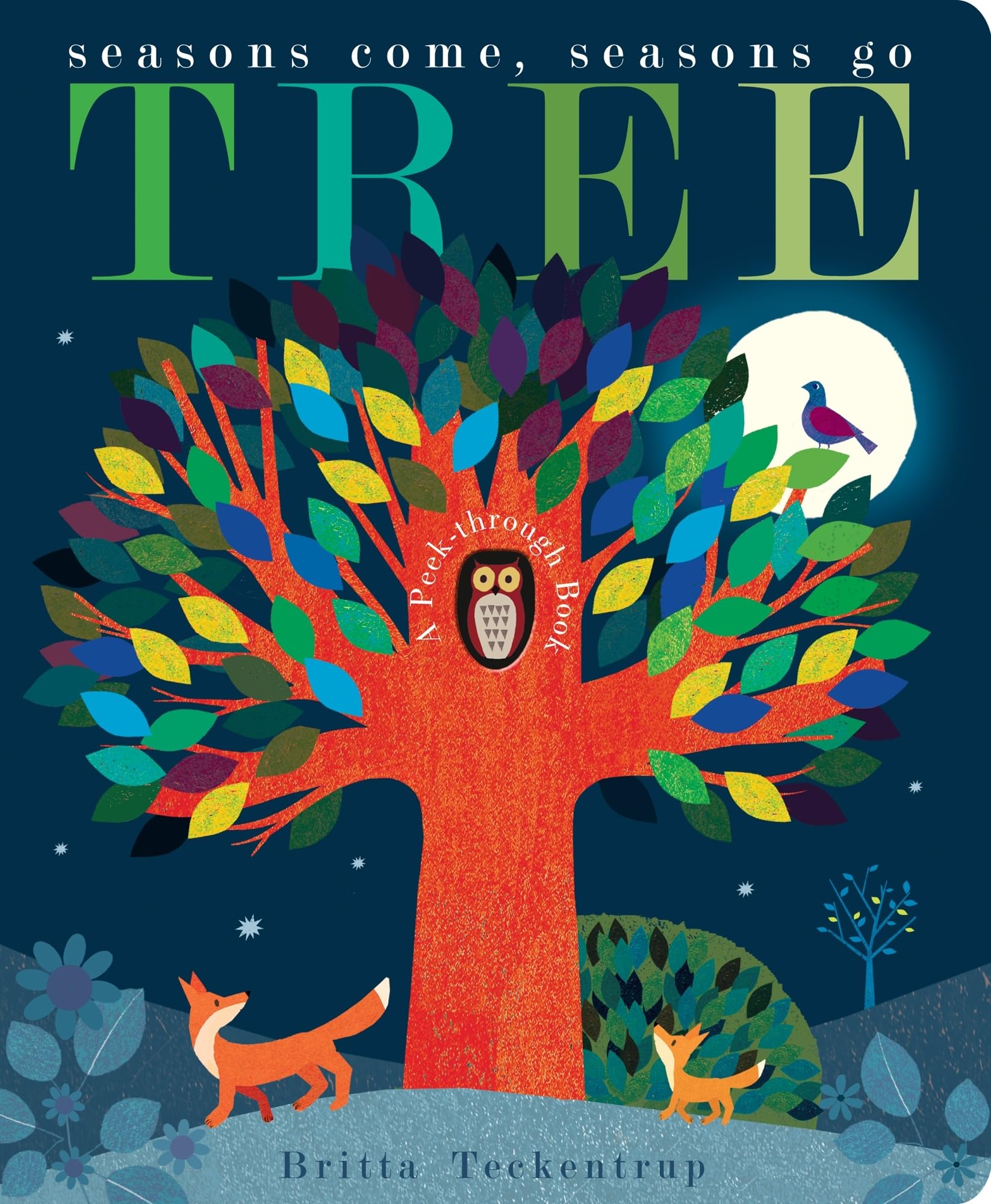 Tree: Seasons Come, Seasons Go (Peek-through Nature) Non-fiction