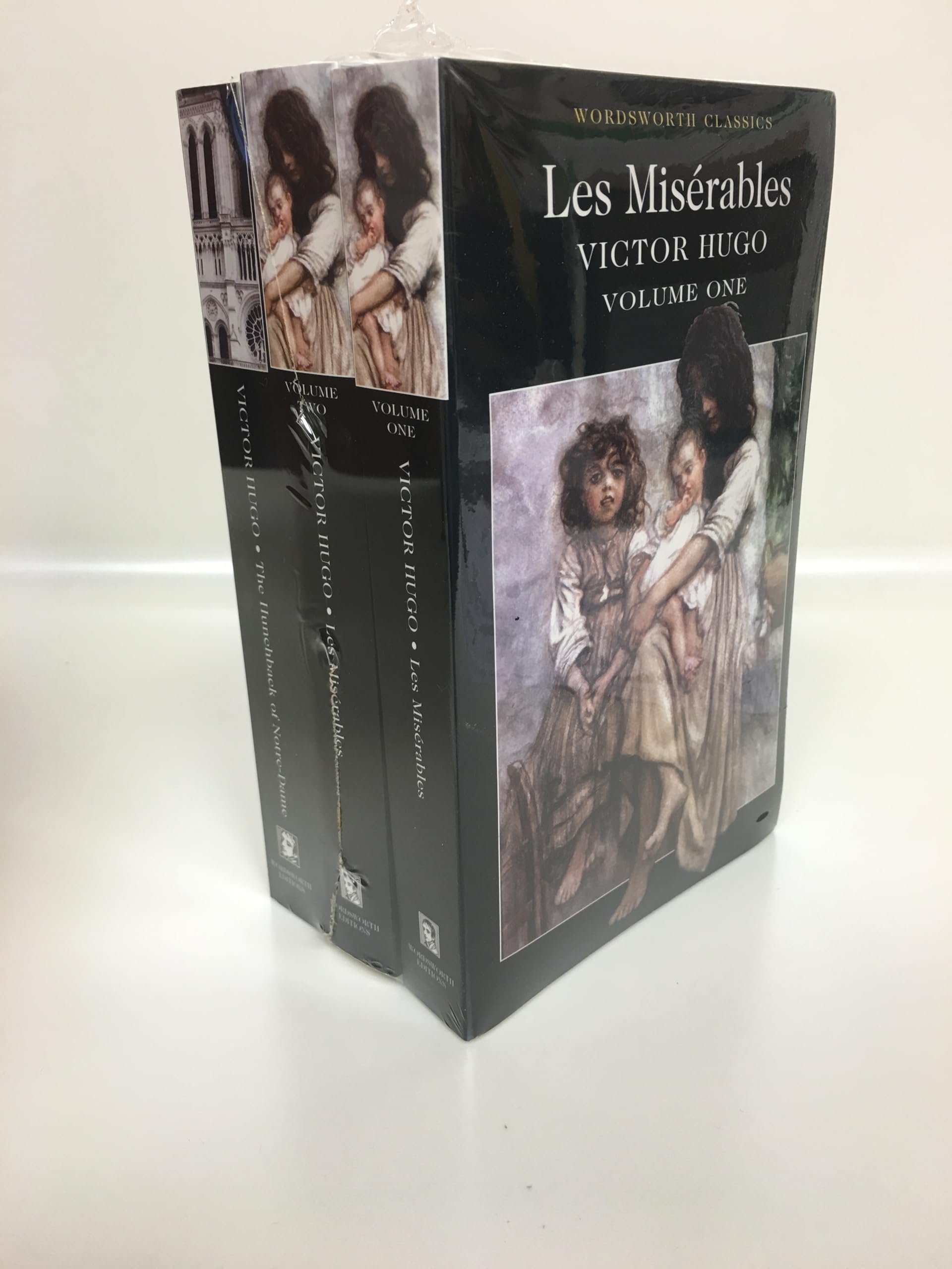 The Best of Victor Hugo 2 Volume Set Classics