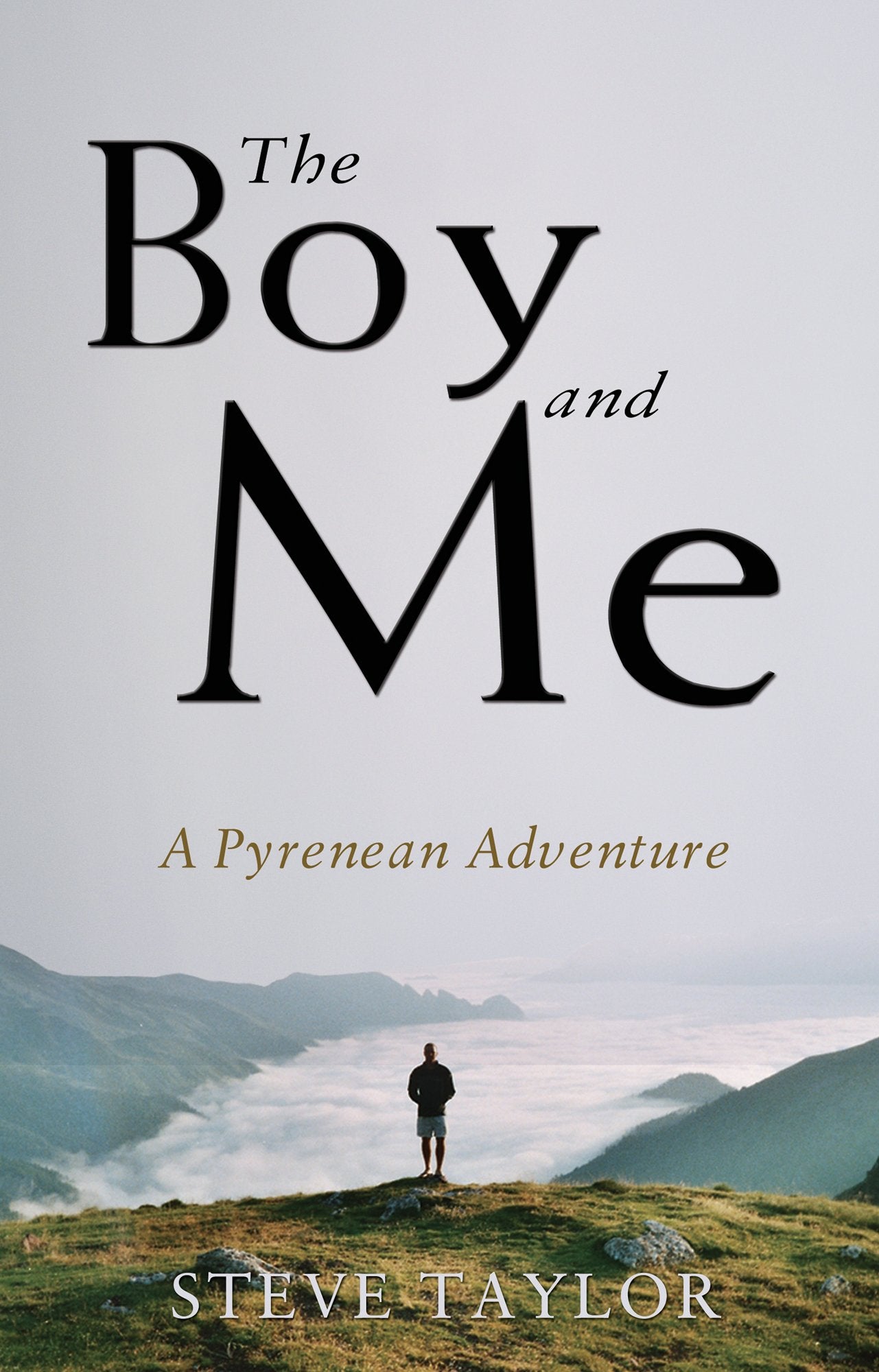 The Boy and Me: A Pyrenean Adventure book