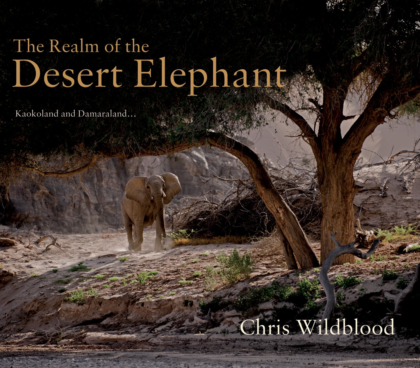 The Realm of the Desert Elephant Mathematics