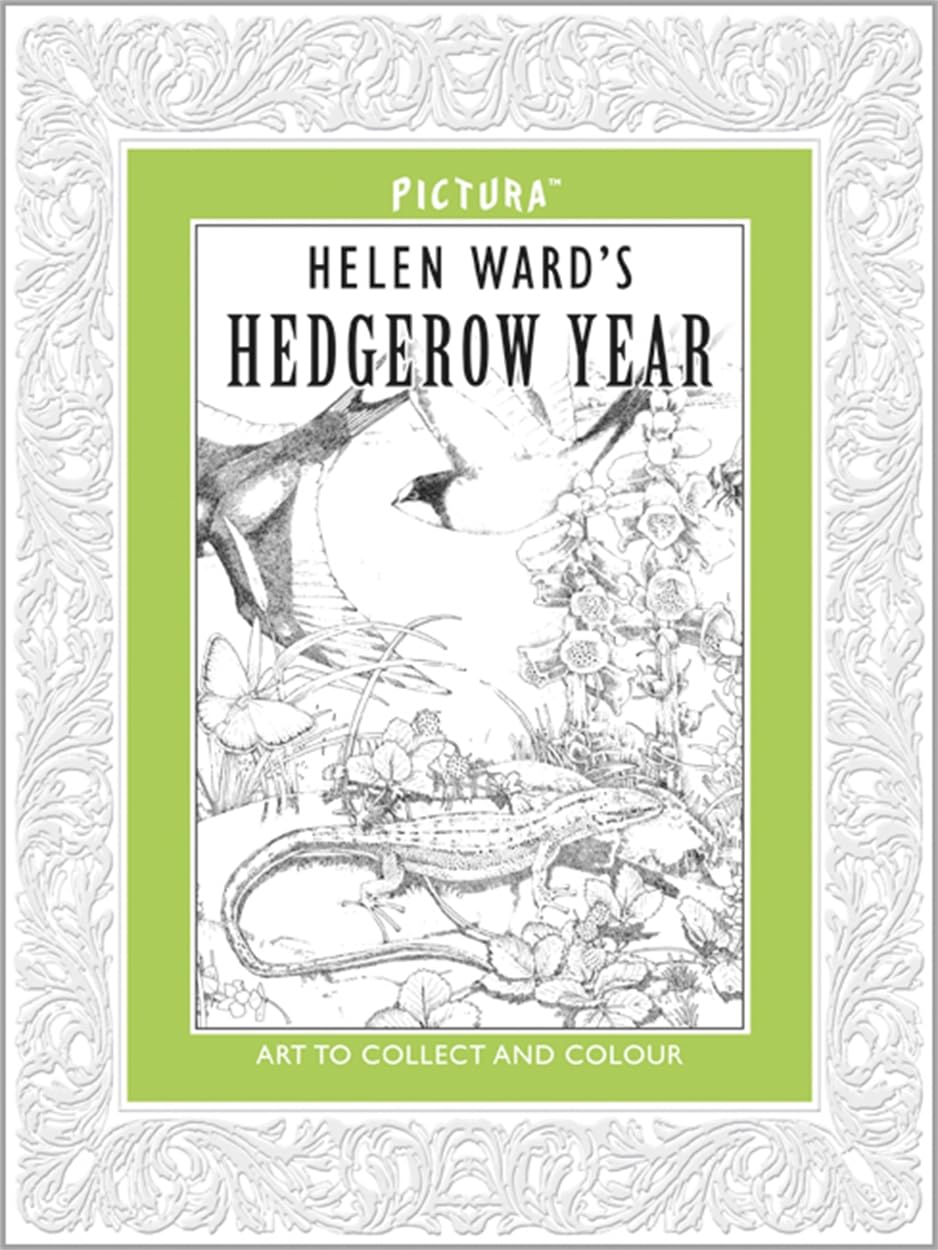 Pictura: Hedgerow Year: Pictura #3 Lifestyle