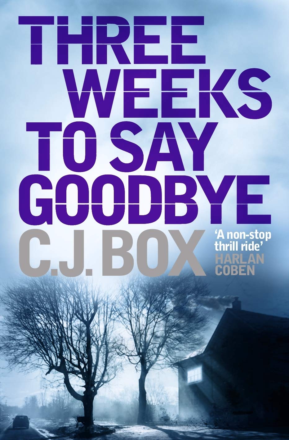 Product Image: Three Weeks to Say Goodbye