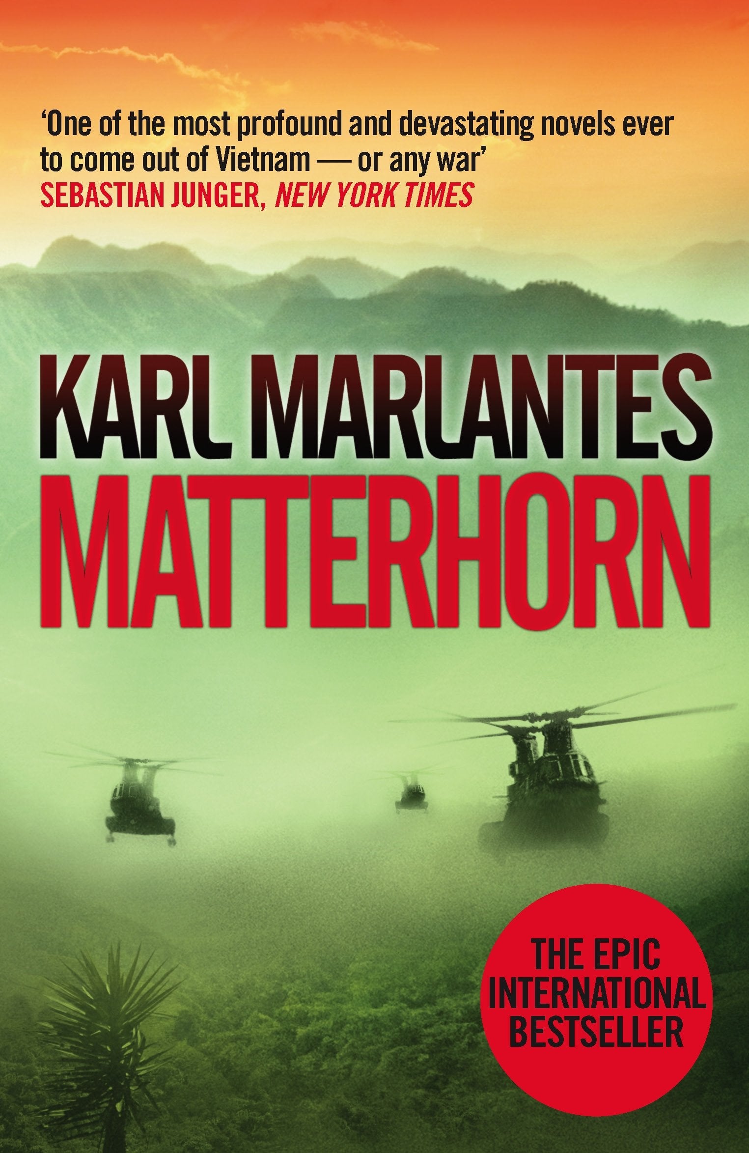 Matterhorn, English edition: A Novel of the Vietnam War. Nominiert: IMPAC DUBLIN LITERARY AWARD 2012, Ausgezeichnet: CENTER FOR FICTION FIRST NOVEL PRIZE 2010 Contemporary literature Books