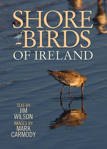 Shorebirds of Ireland Mathematics