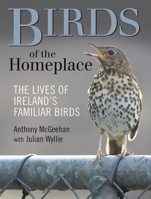 Birds of the Homeplace: The Lives of Ireland's Familiar Birds book