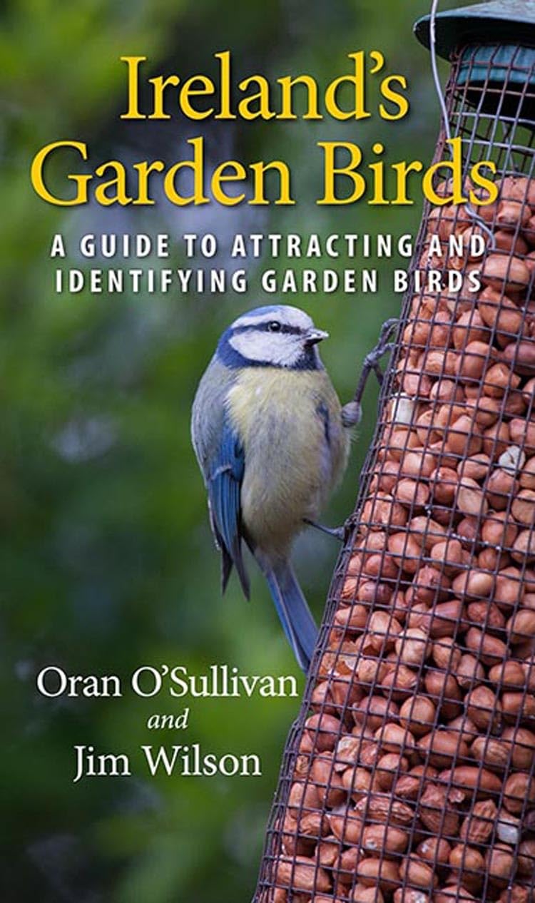 Ireland's Garden Birds: A Guide to Attracting and Identifying Garden Birds Mathematics