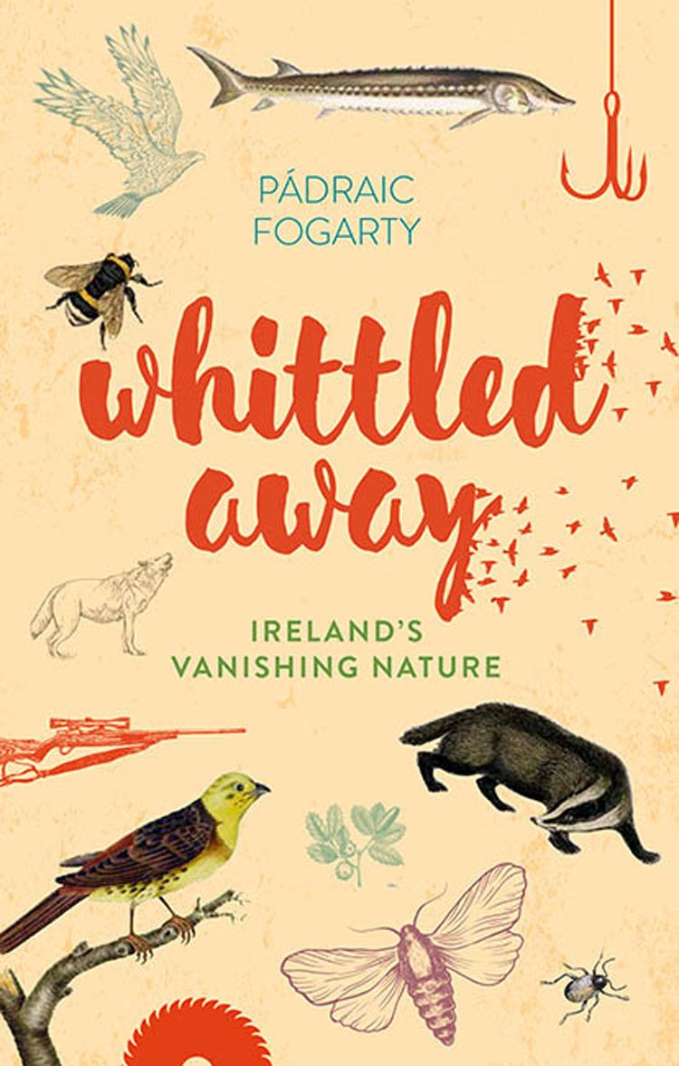 Whittled Away: Ireland's Vanishing Nature book