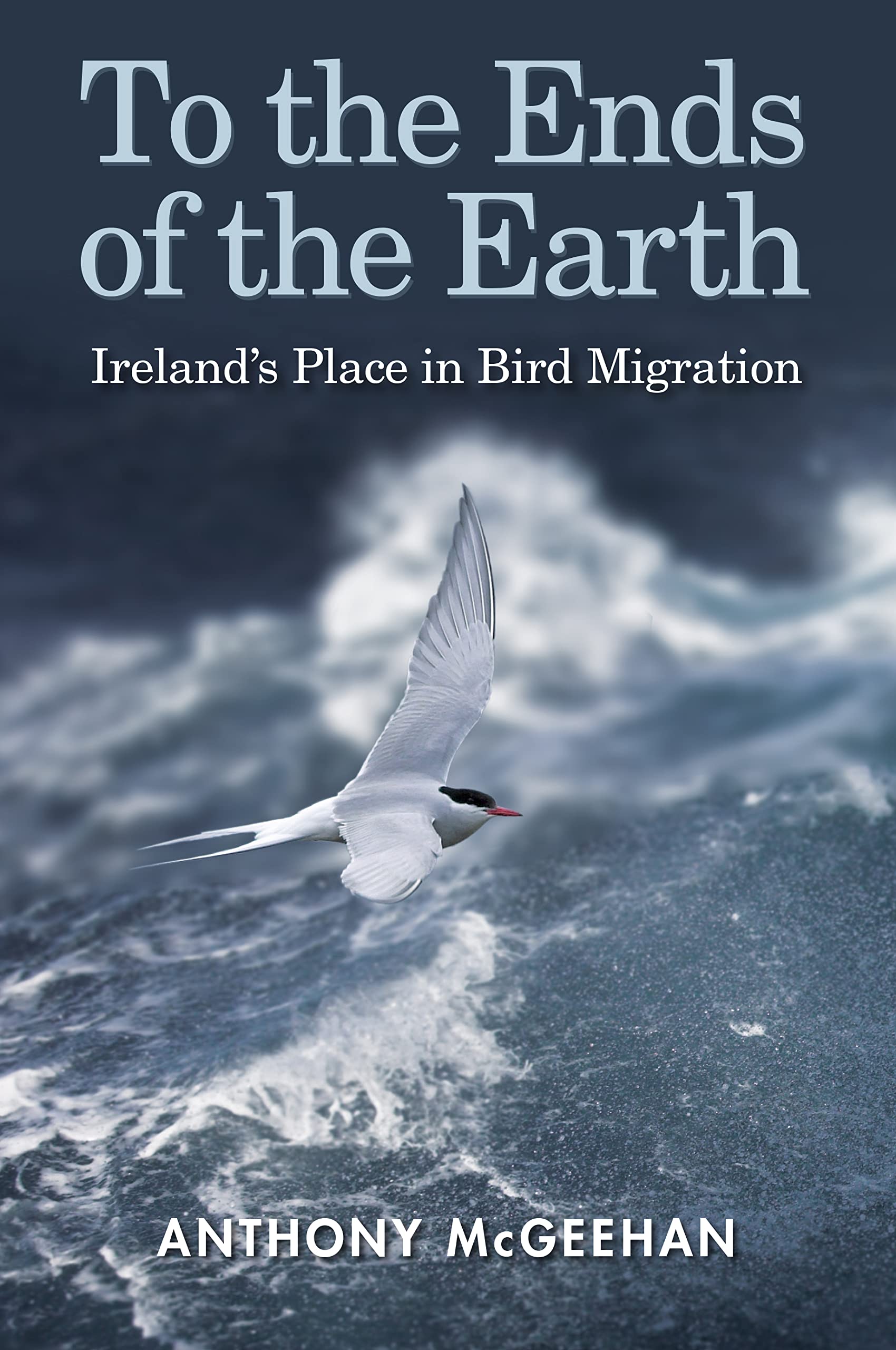 To the Ends of the Earth: Ireland's Place in Bird Migration Mathematics