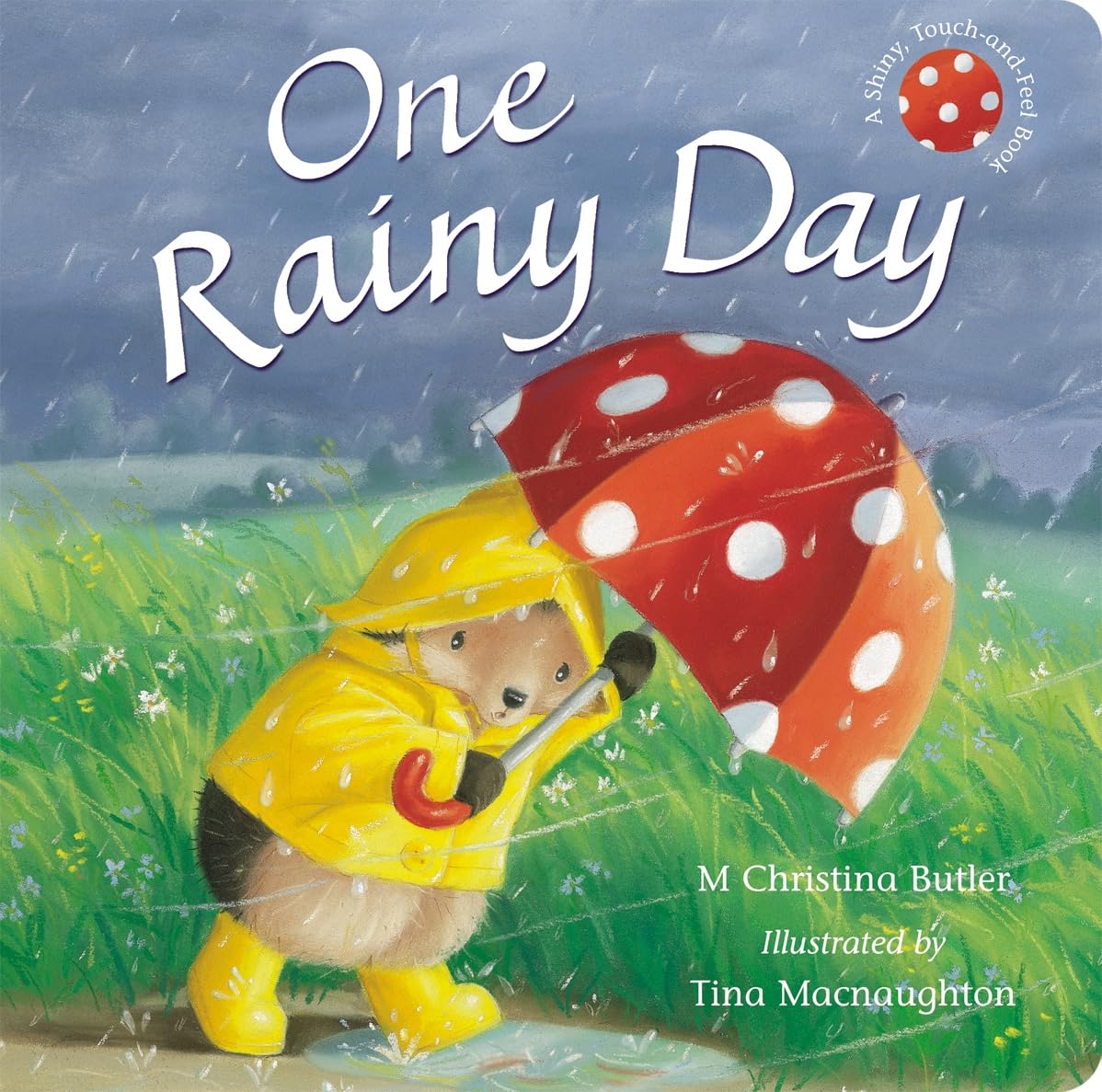 One Rainy Day (Little Hedgehog) Novels & Short Stories
