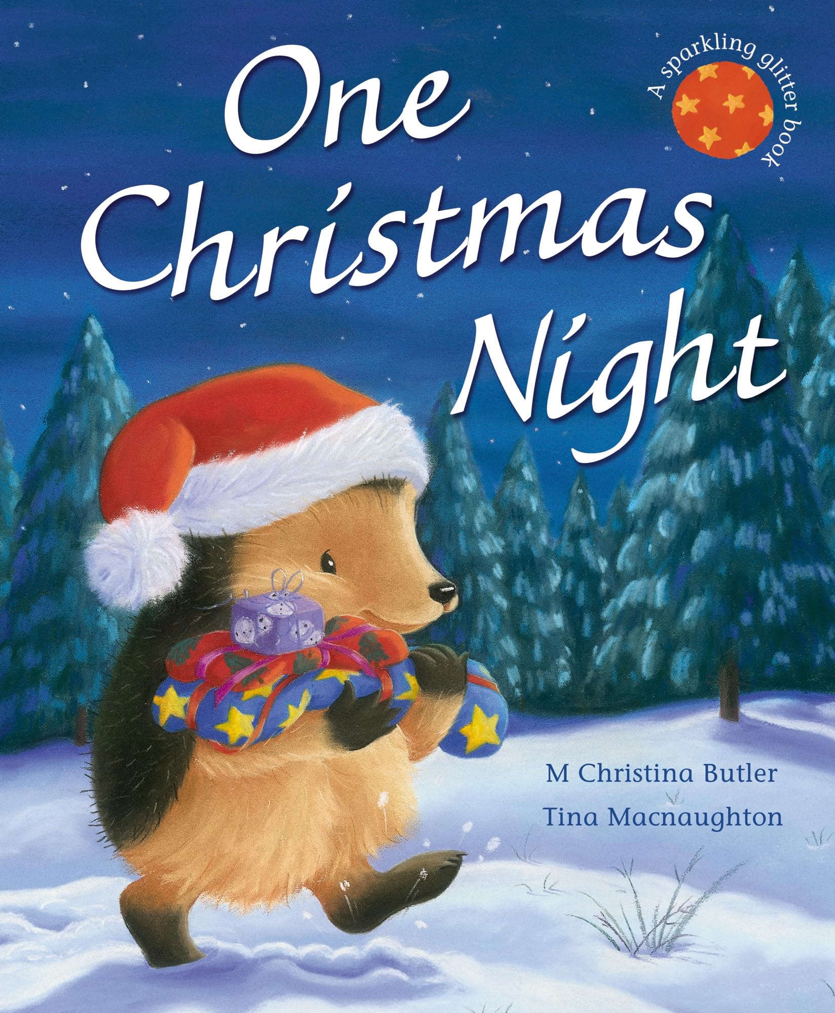 One Christmas Night (Little Hedgehog) Non-fiction