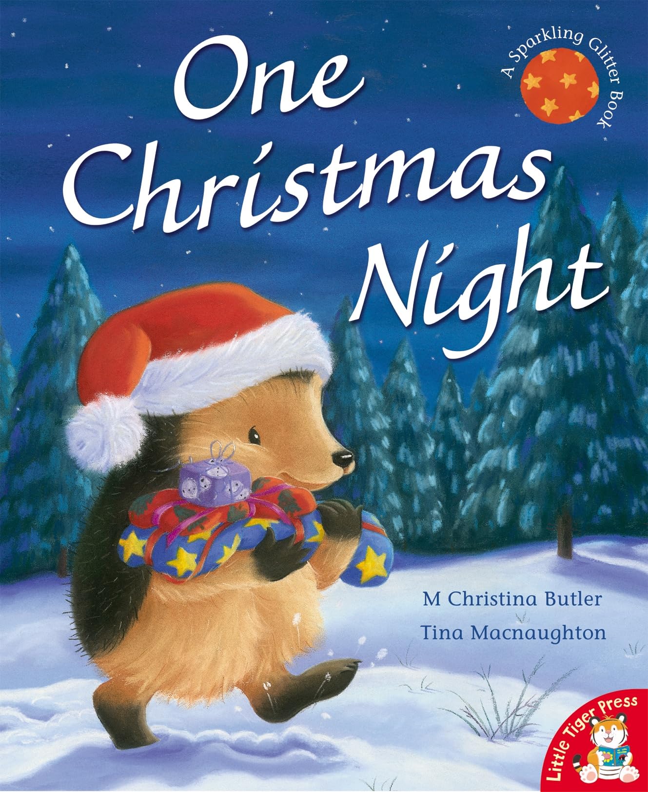 One Christmas Night (Little Hedgehog) Non-fiction