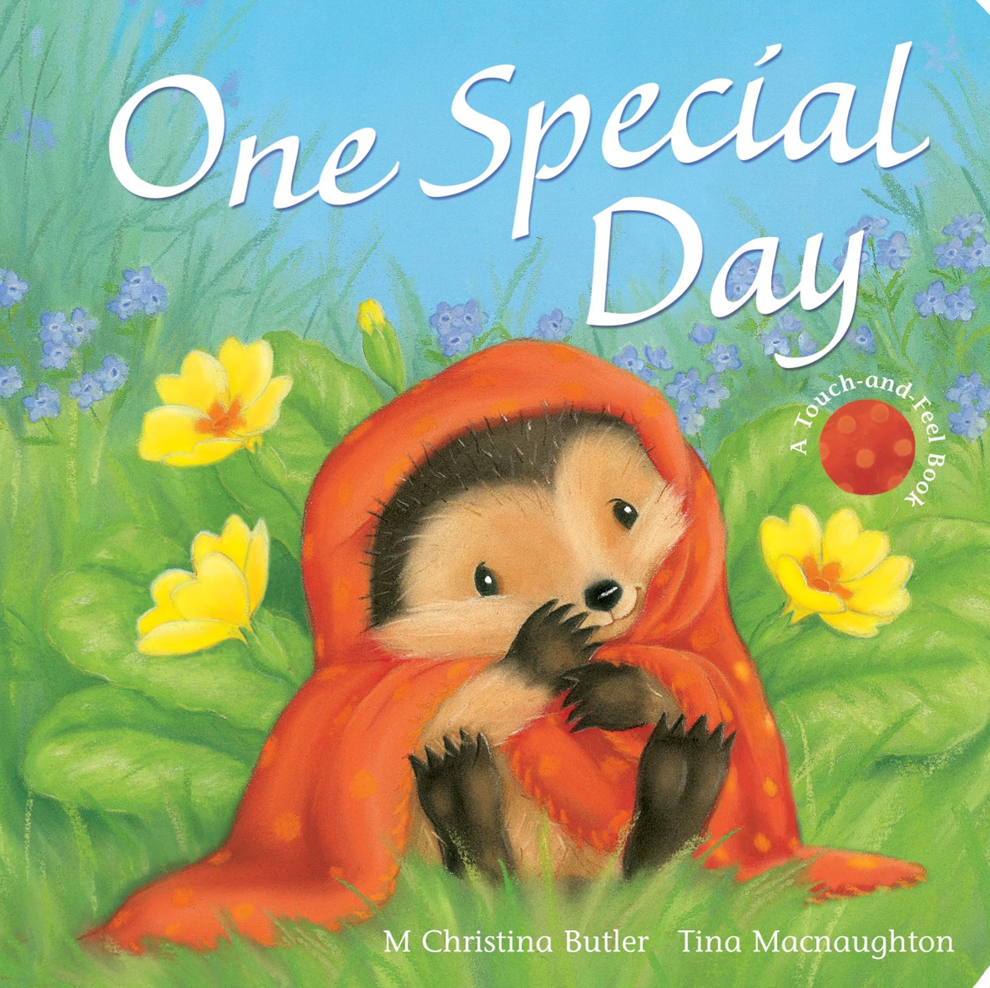 One Special Day (Little Hedgehog) Novels & Short Stories