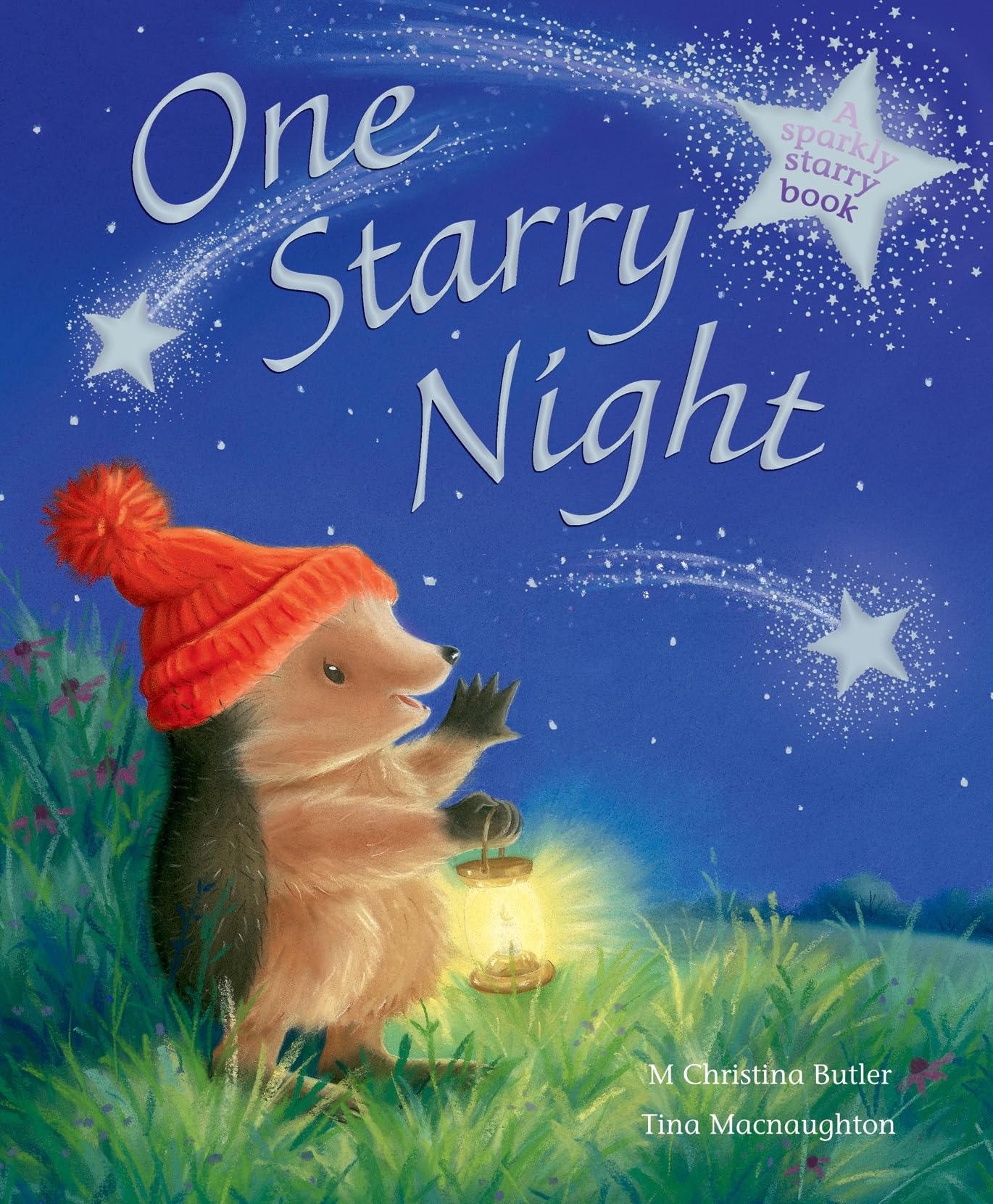 One Starry Night (Little Hedgehog) book
