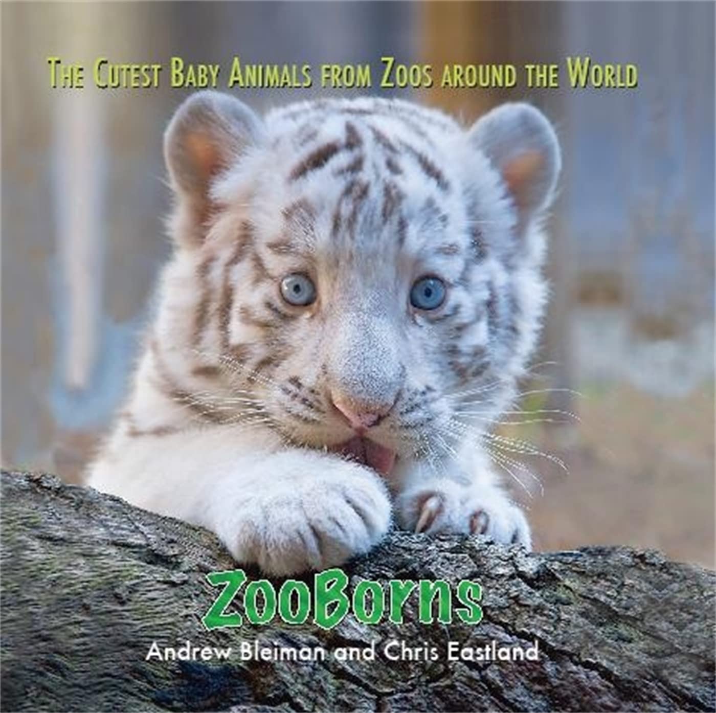 ZooBorns: The Cutest Baby Animals from Zoos Around the World! Mathematics