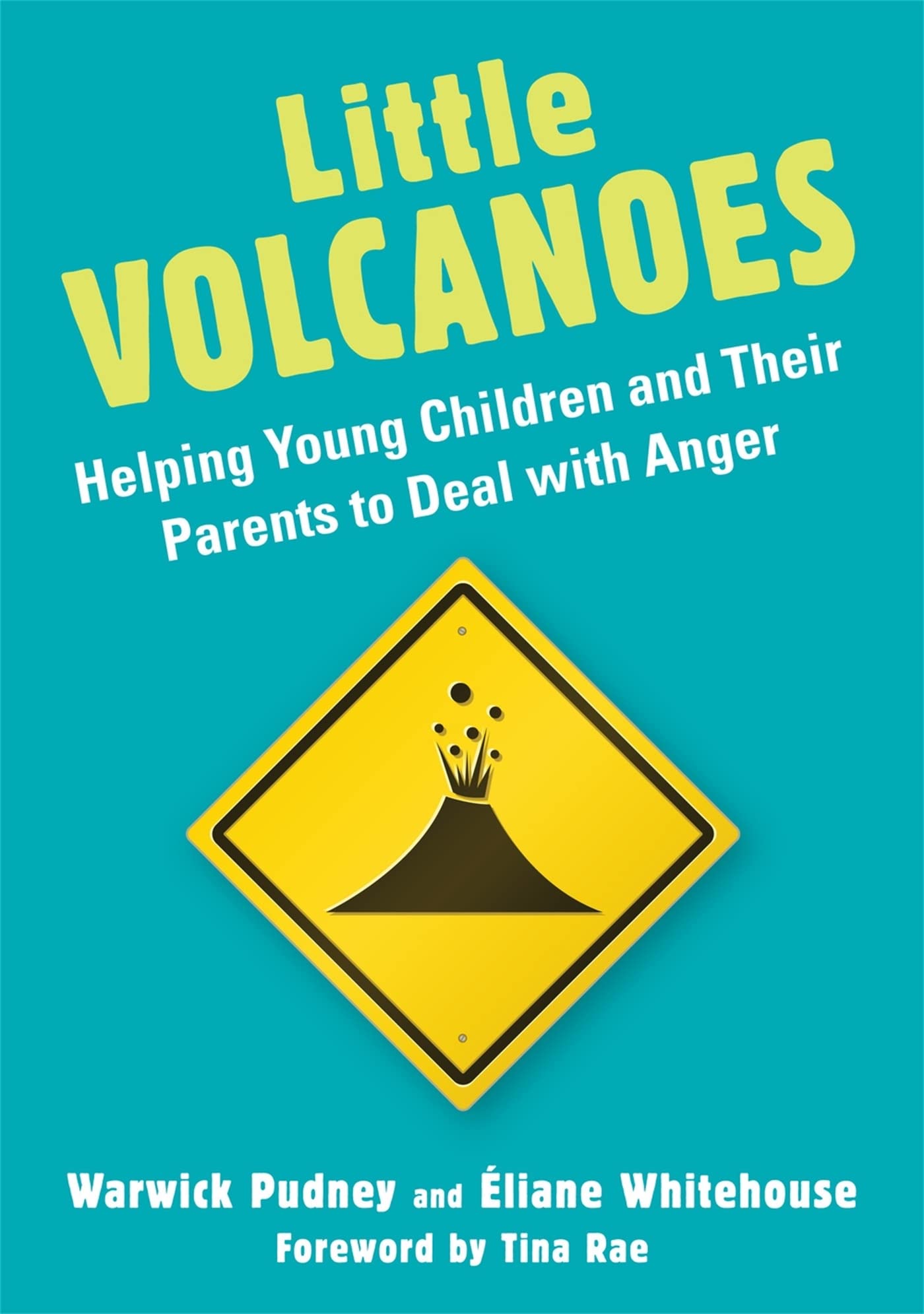 Little Volcanoes: Helping Young Children and Their Parents to Deal with Anger book